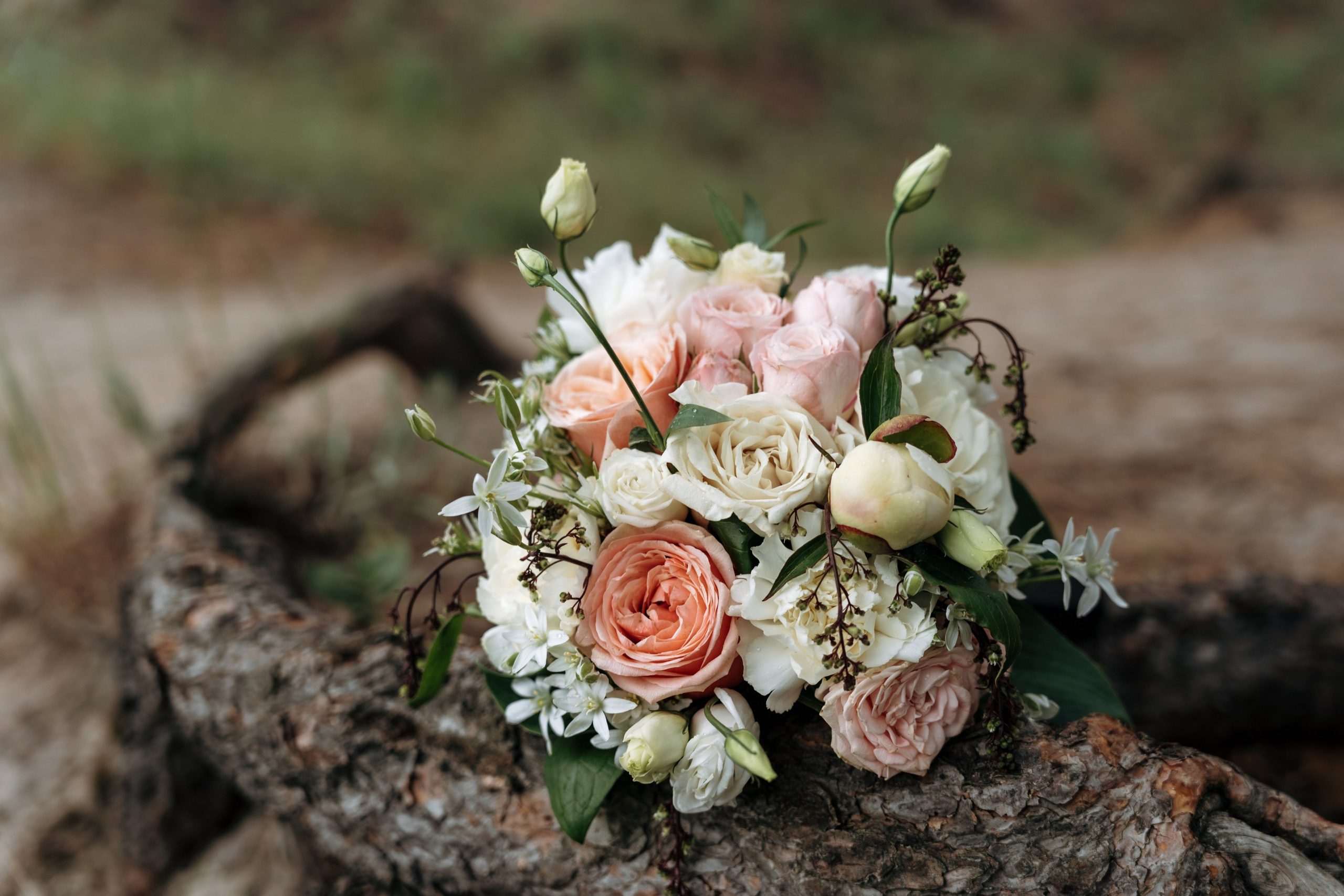 Свадебный день Яны и Максима, прогулка в лесу, Картинная галерея в Тамбове. Свадебный фотограф в Тамбове Павел Четвертков