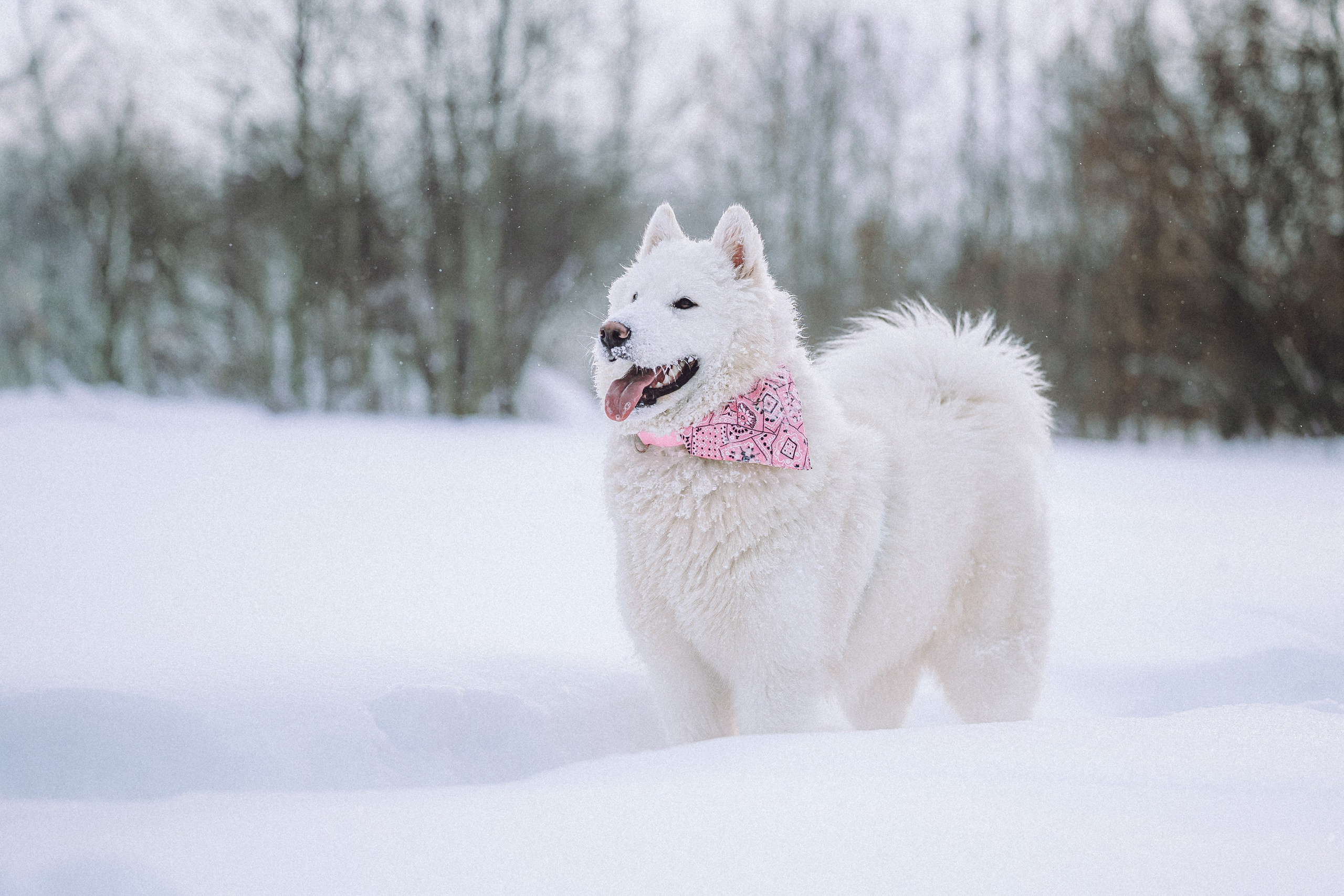 Мария и Мася