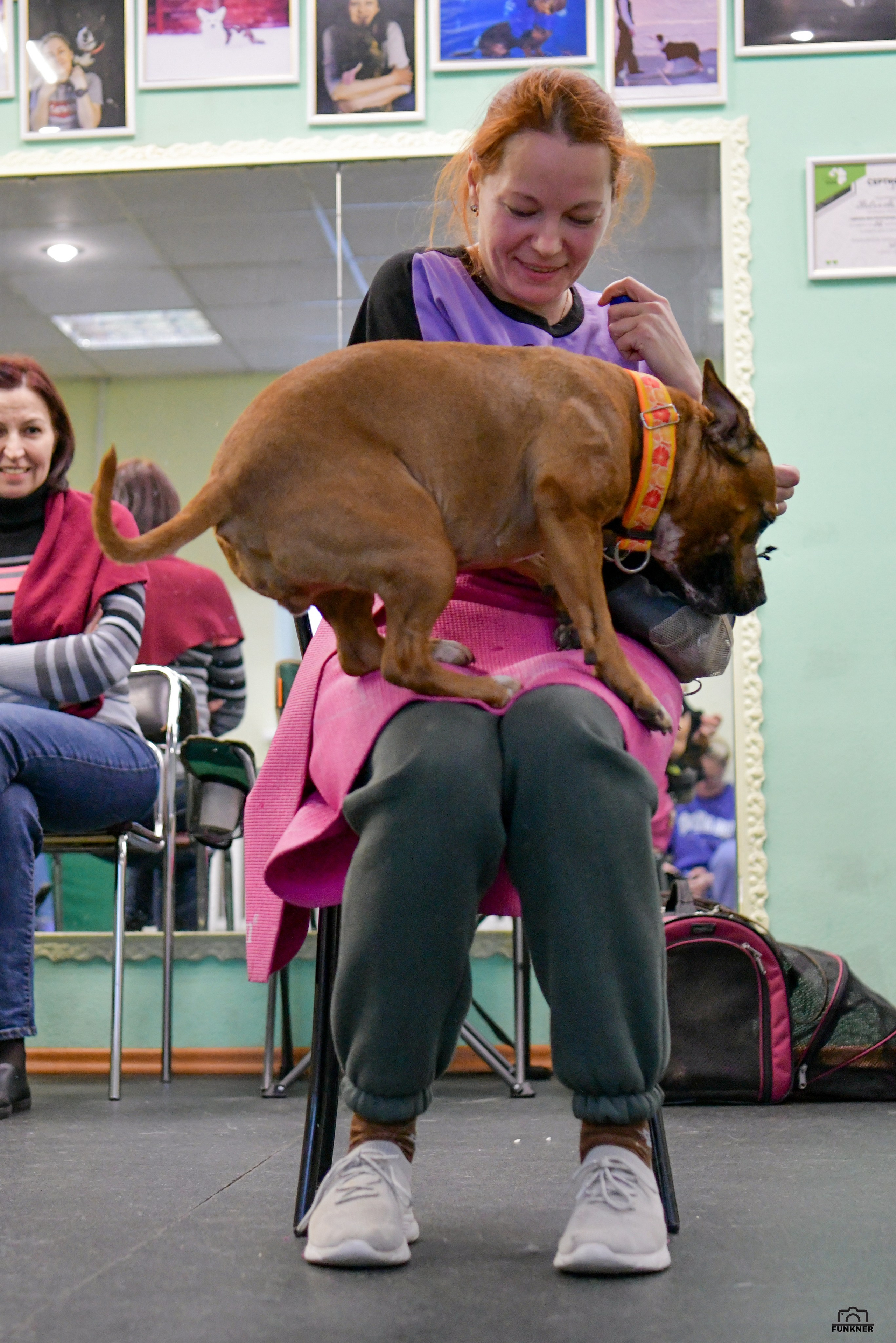 Кинологический клуб «Бодрый хвост». Свой взгляд через объектив