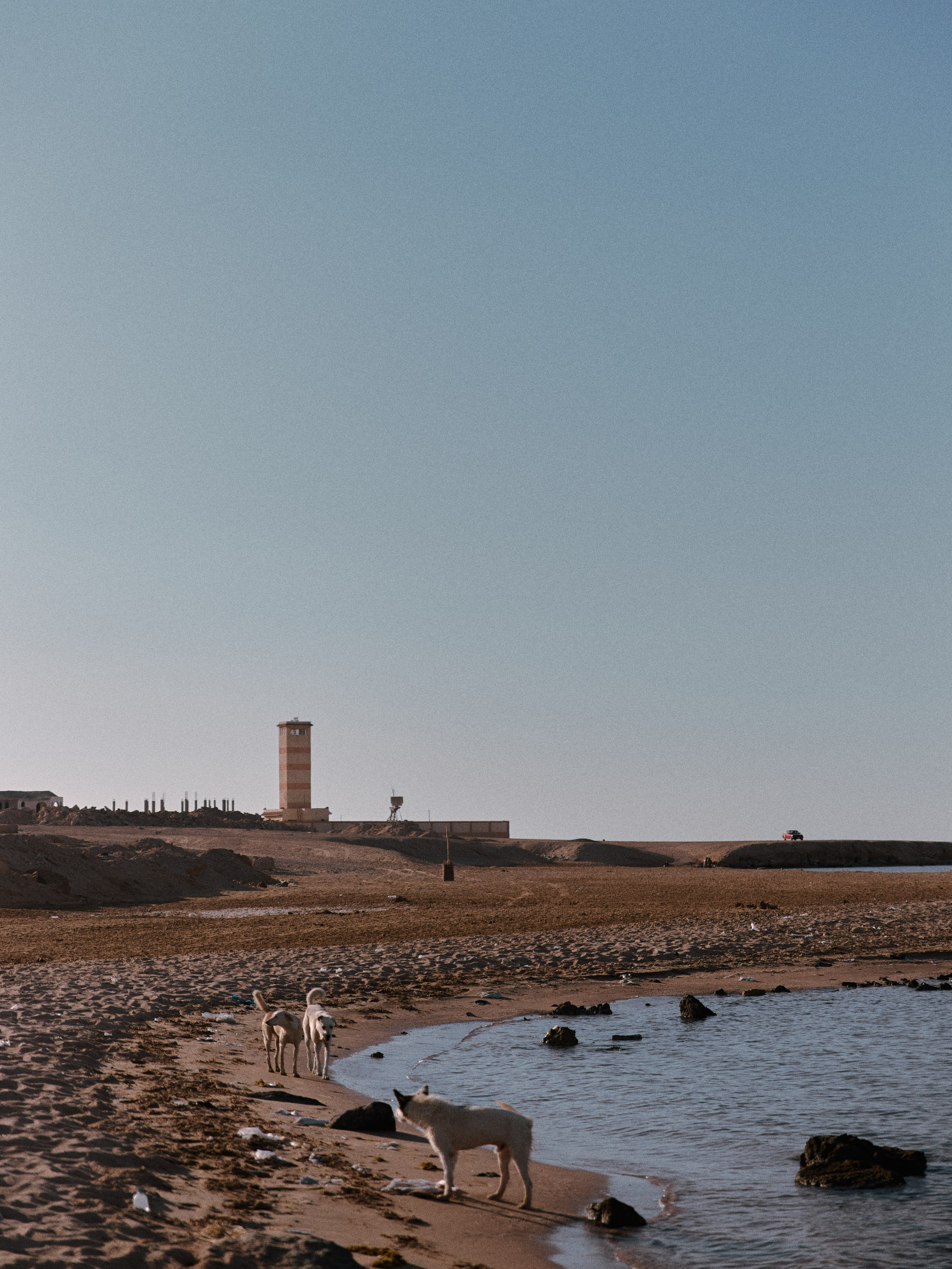 Другое 2. Jorgis Talè — photographer, kind person, teacher of arts and other mag