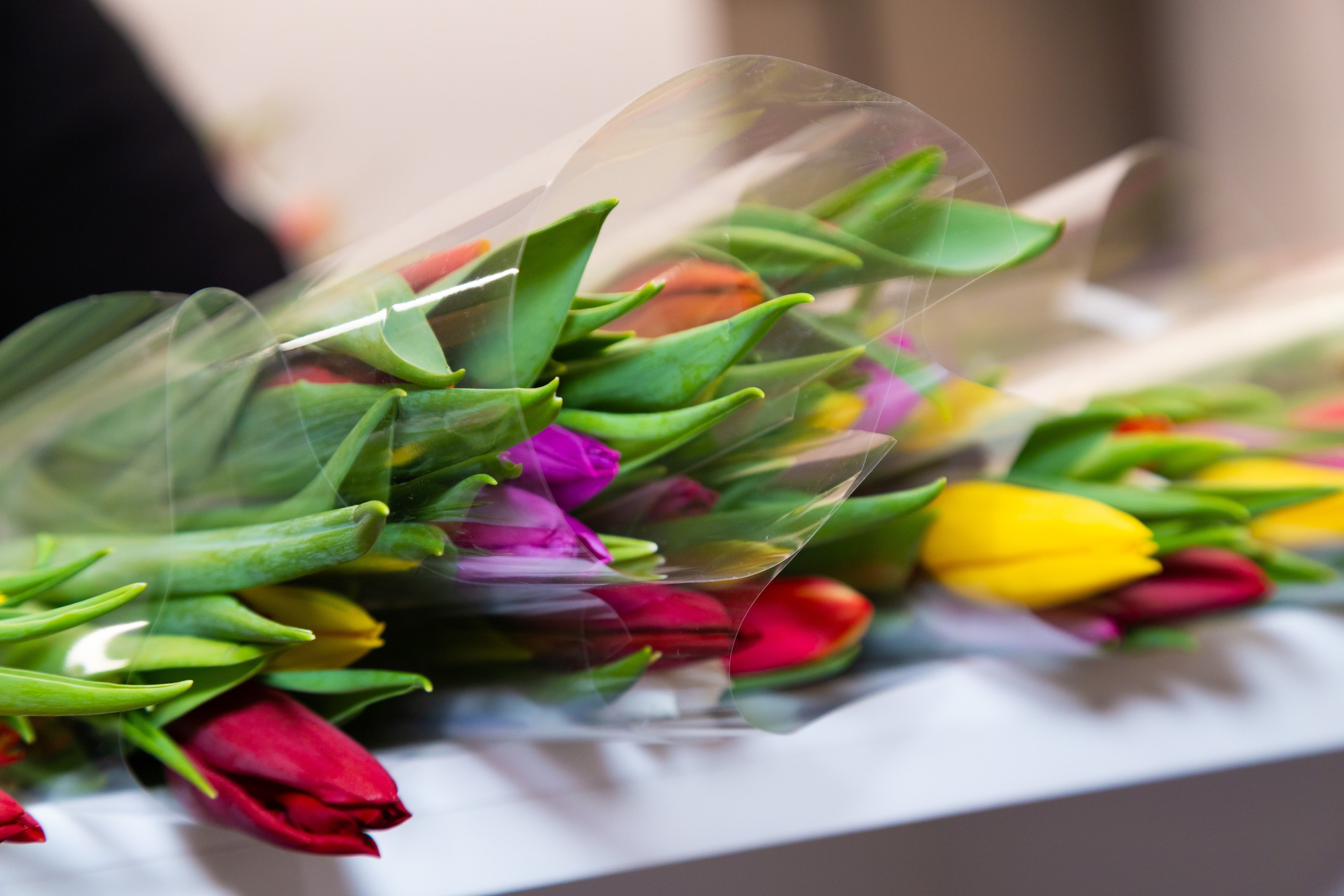 Фотосъёмка корпоратив, тимбилдинг, фотосессия на корпоративе. «Студия DRONAVT`s» — видеосъёмка и фотография г. Москва