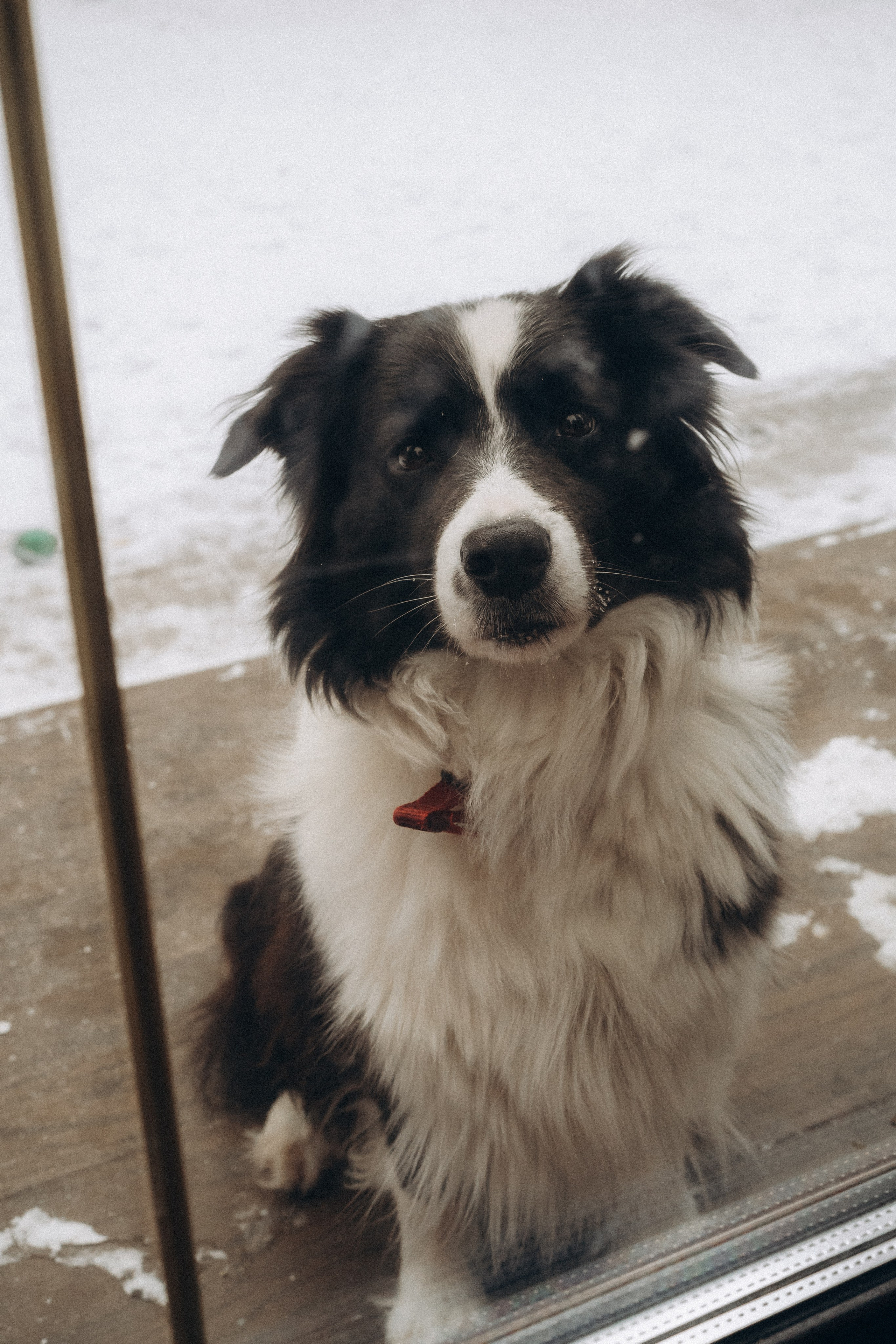 Счастье живет здесь. Семейный фотограф в Ангарске/ Иркутске