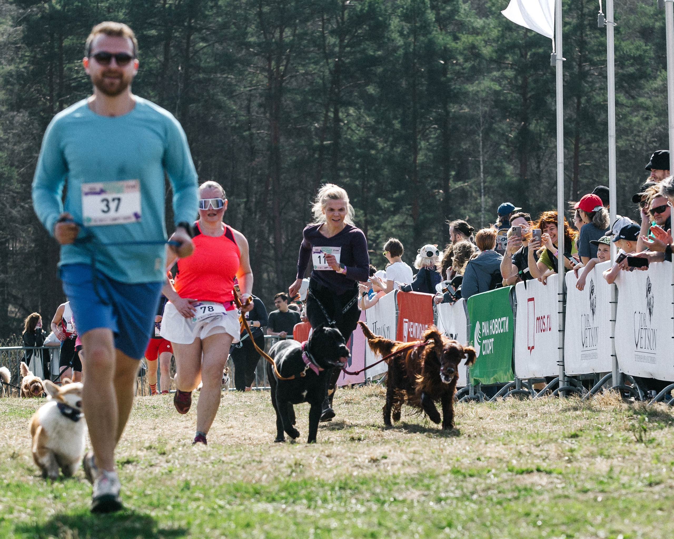 Кросс «Быстрый пёс» 2025. Репортажный фотограф в Москве