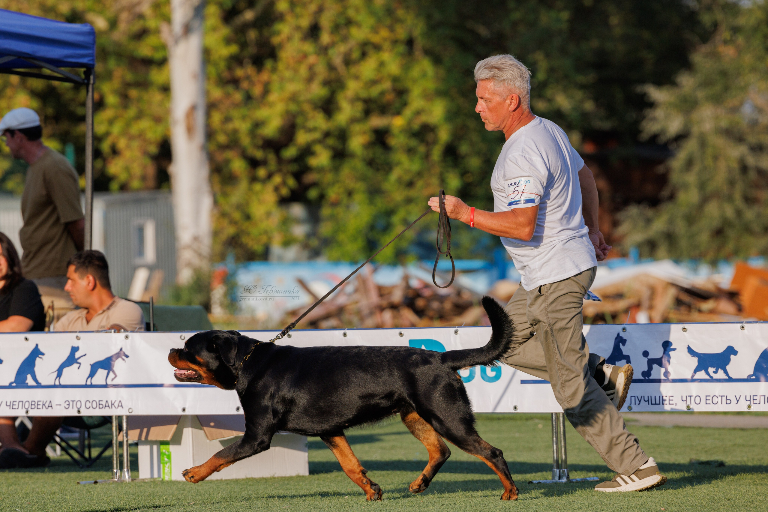 Анапа ротвейлеры 14-15.09.2024. Фотограф-анималист Юлия Германика