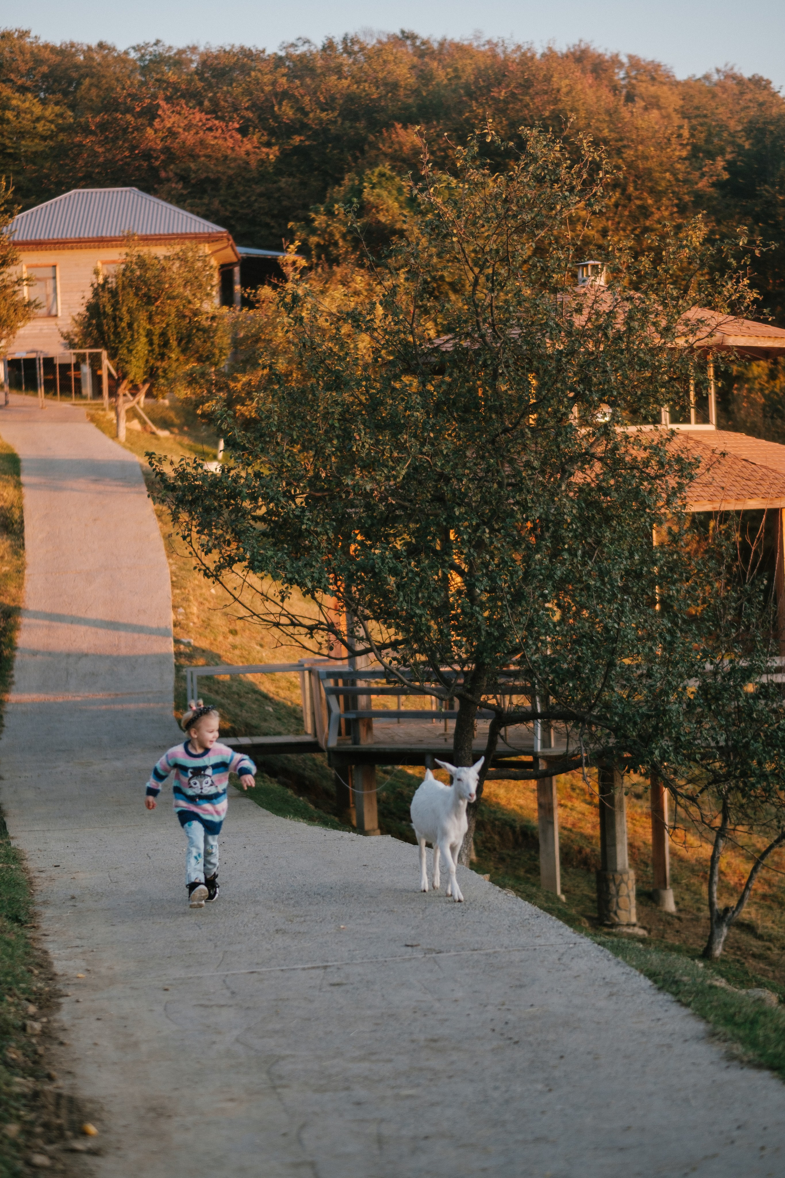 Экзархо. Свадебный Видеограф Фотограф в Сочи