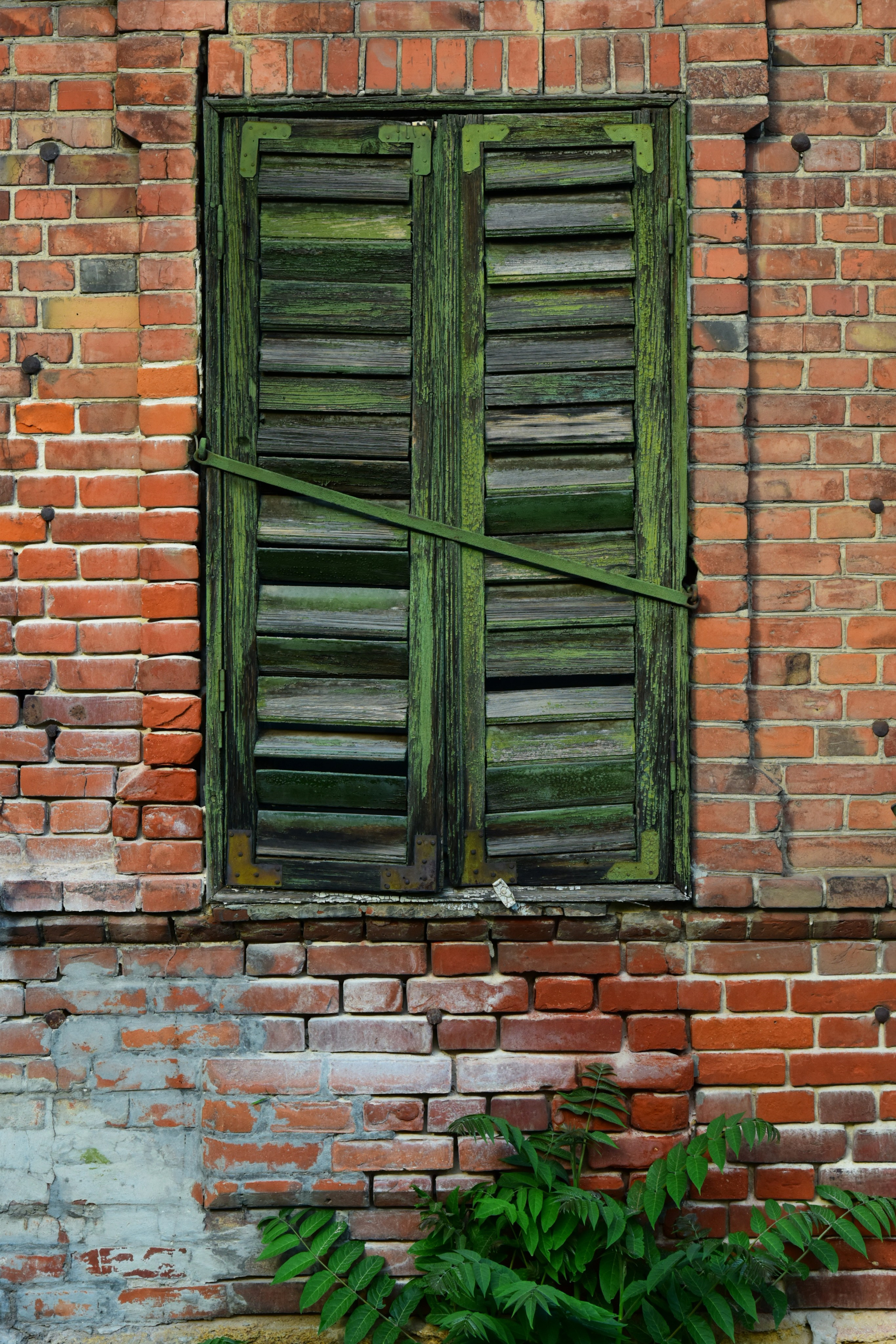 РОСТОВ. Фотограф Глеб Садов