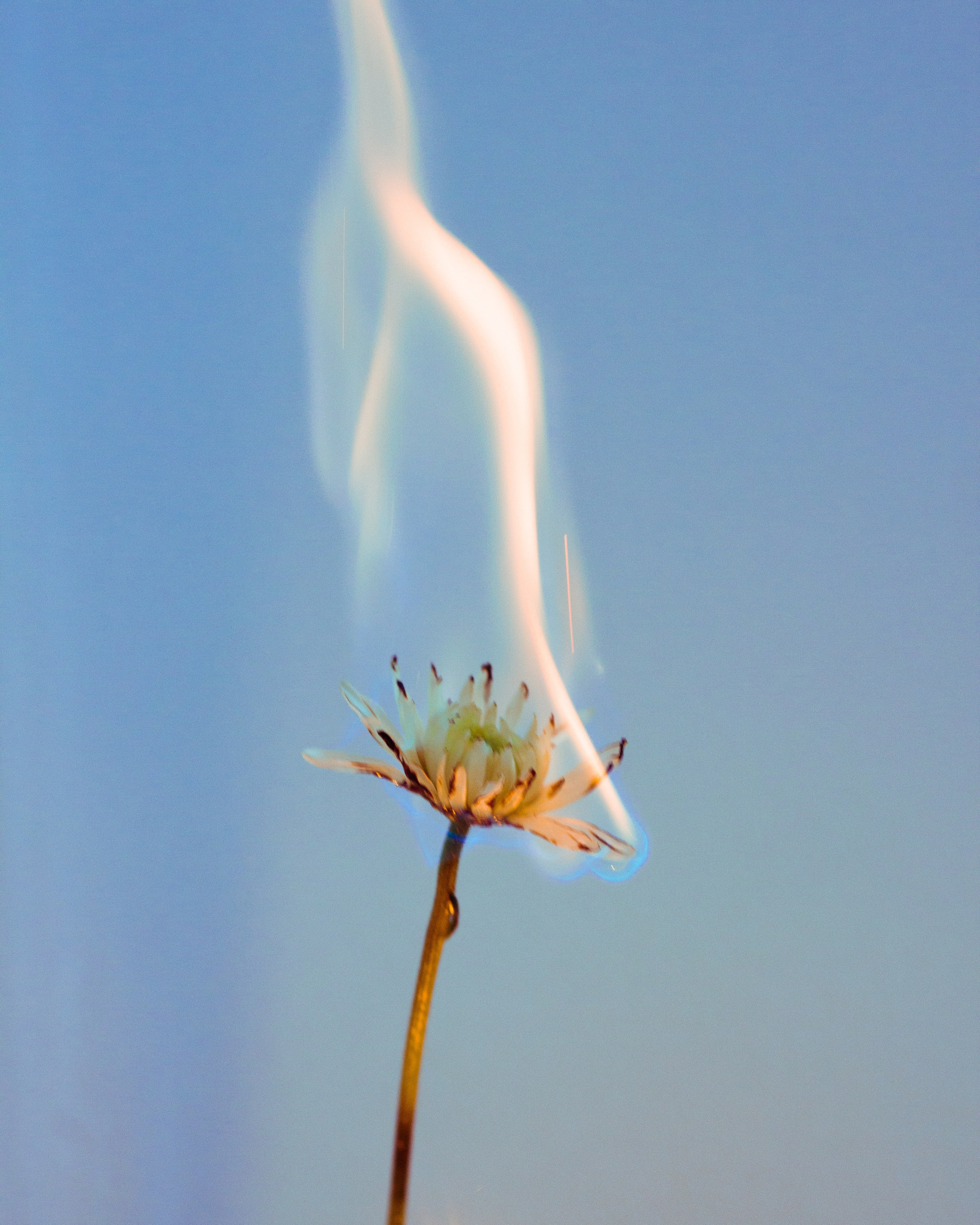 ART. Фотограф Анна Апрельская Москва| Moscow Anna Aprelskaya Photographer