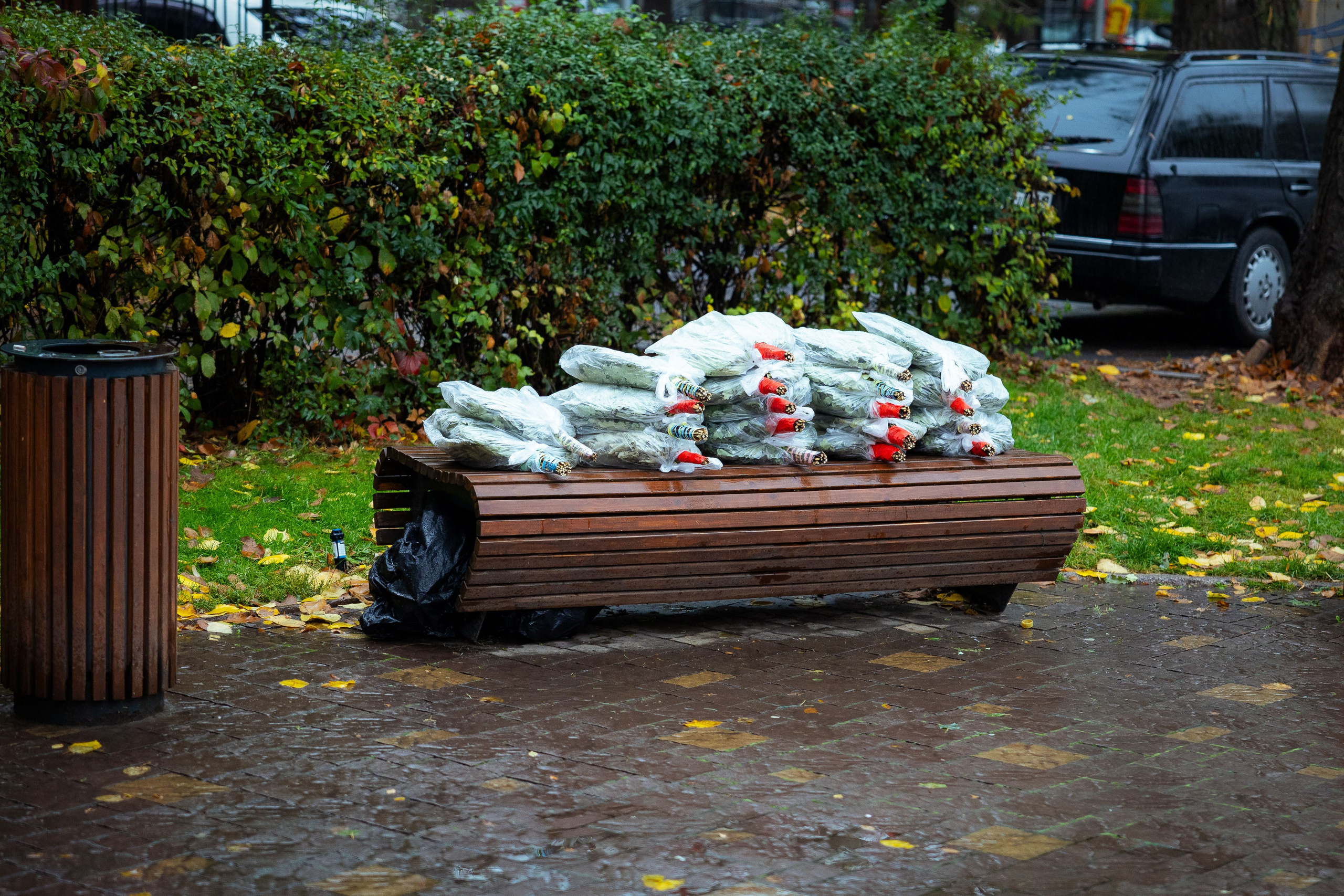 Казахстан (осень 2024). Фотограф Виноградов Константин