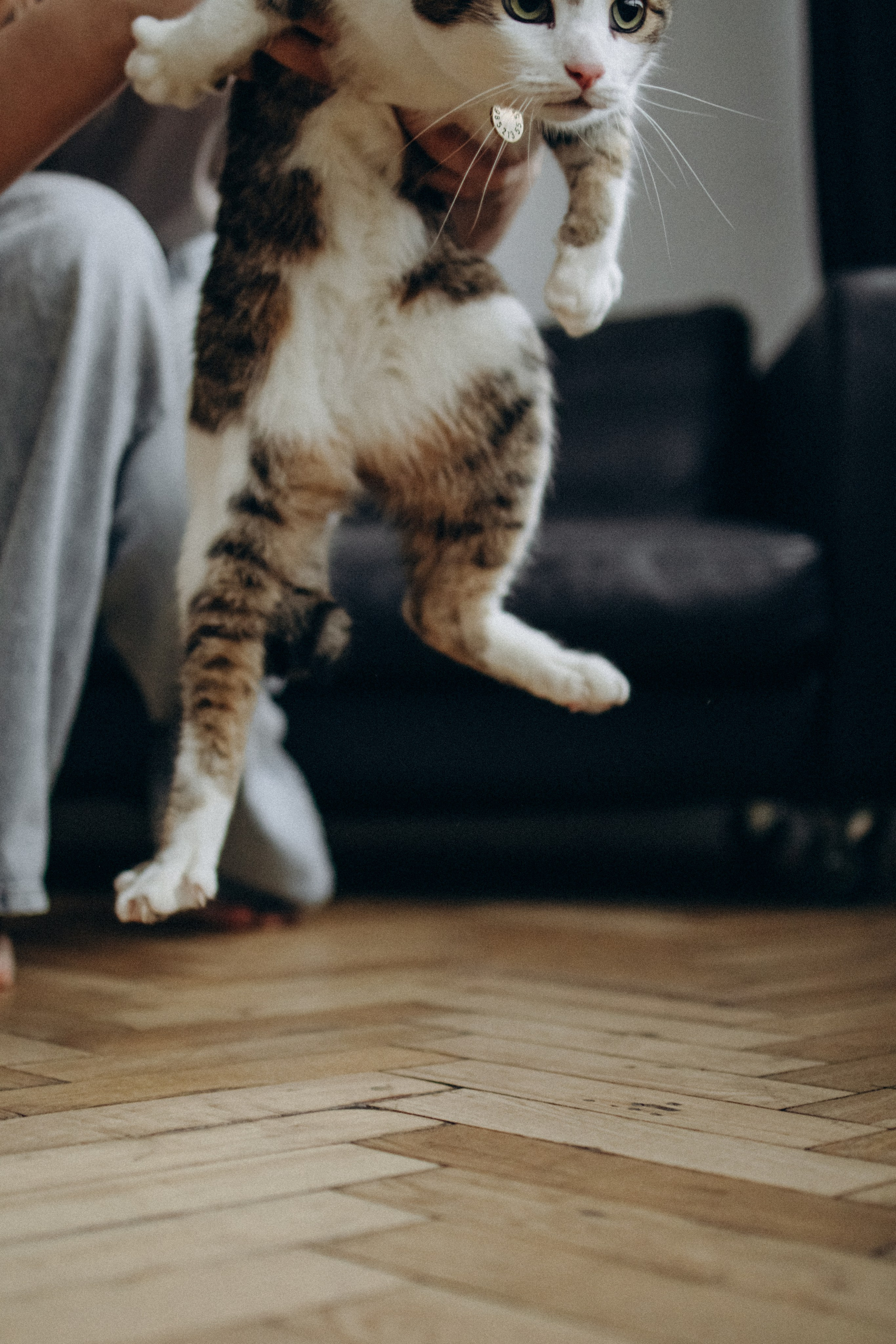 Ксюша и Яша. Фотораф — анималист Мария Шистка