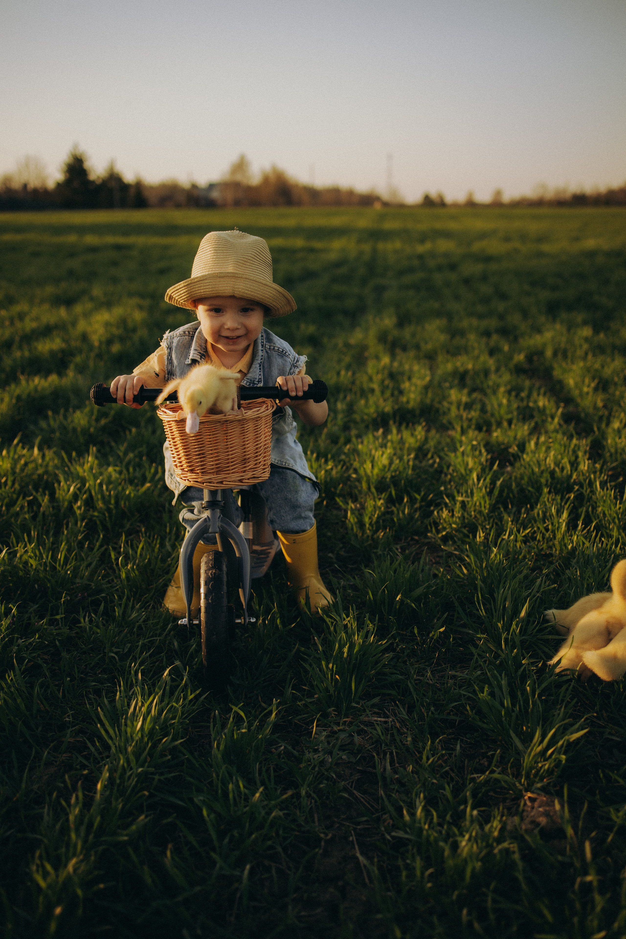 Фотосессия в поле. ОБО МНЕ