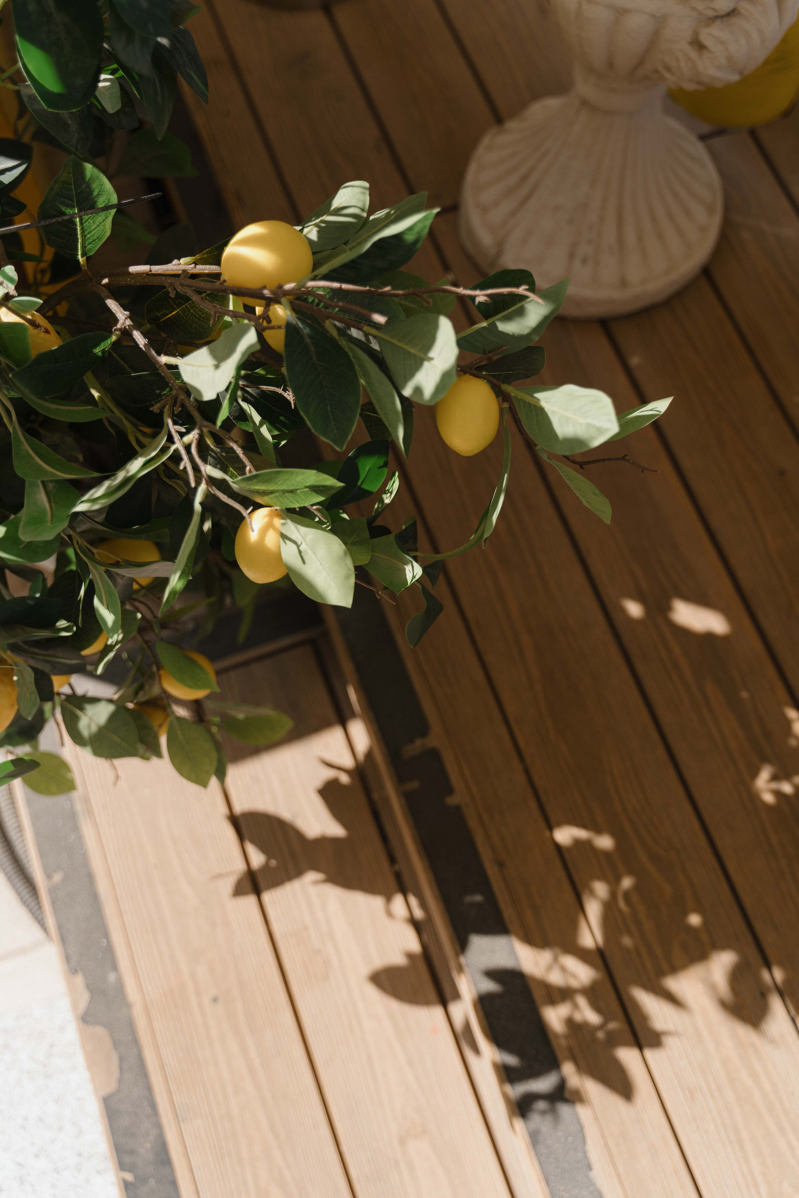 photographer UAE, photographer Dubai, photographer Abu Dhabi, wedding photographer UAE, beach photoshoot Dubai, Italian brunch wedding Dubai