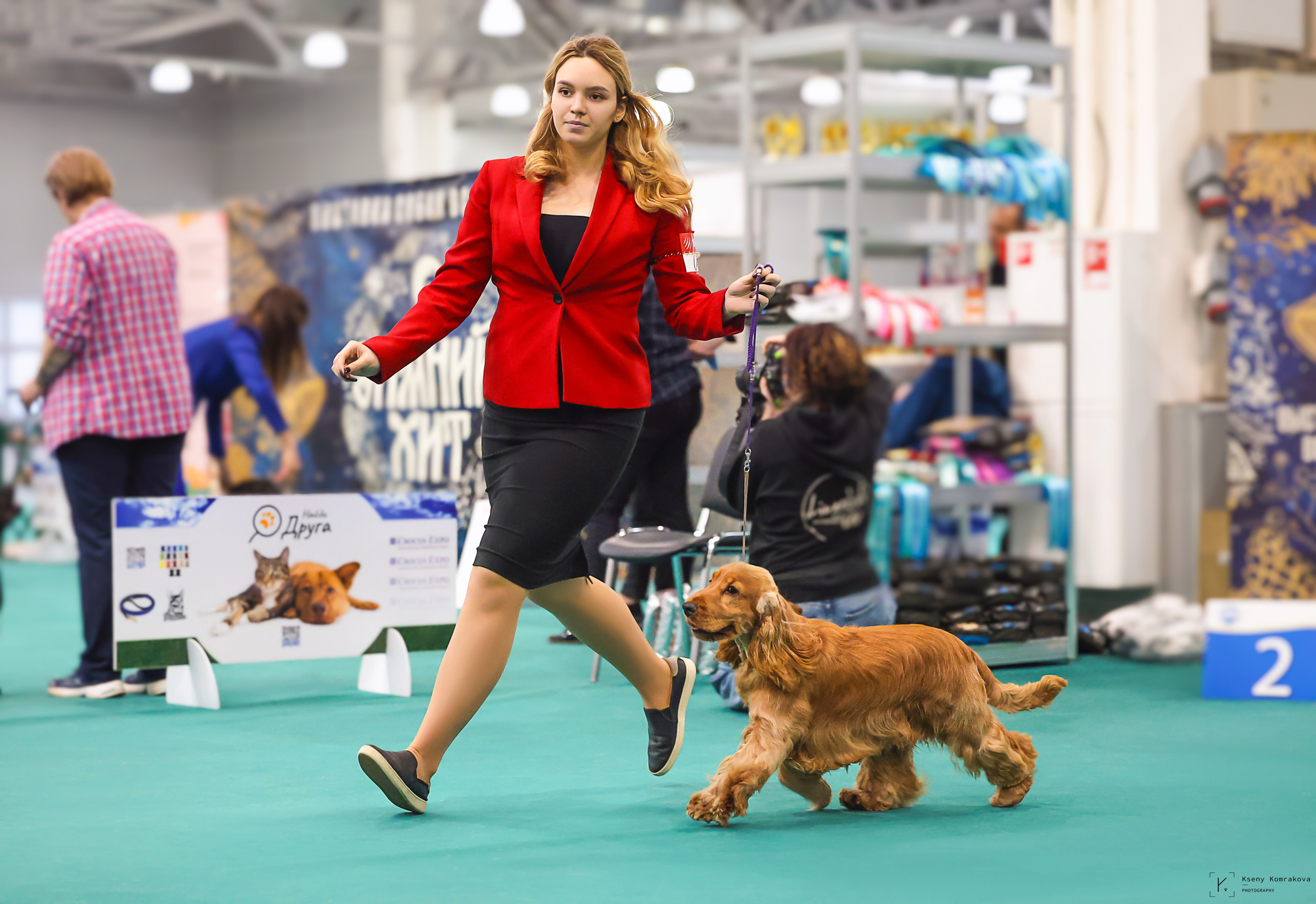 Съемка собак. Анималистика. Репортаж. Индивидуальная съемка