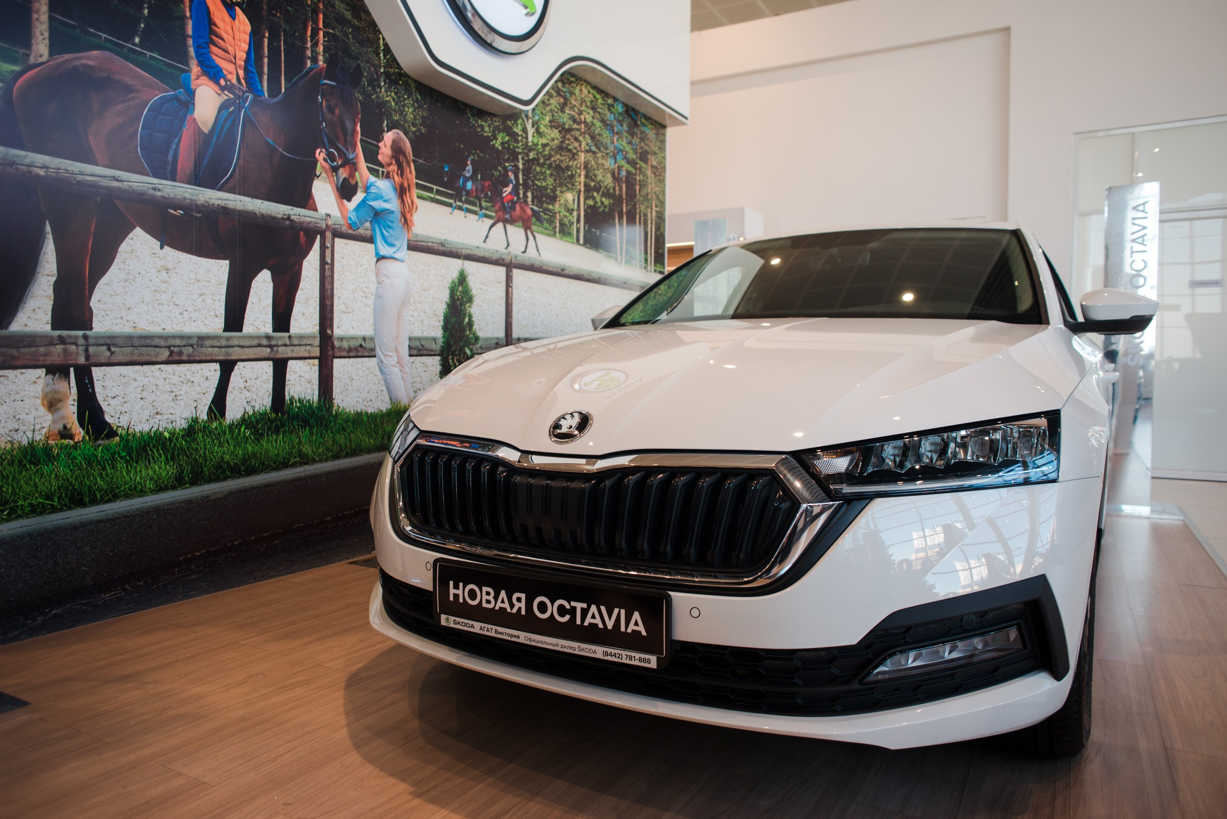 Skoda. Главная