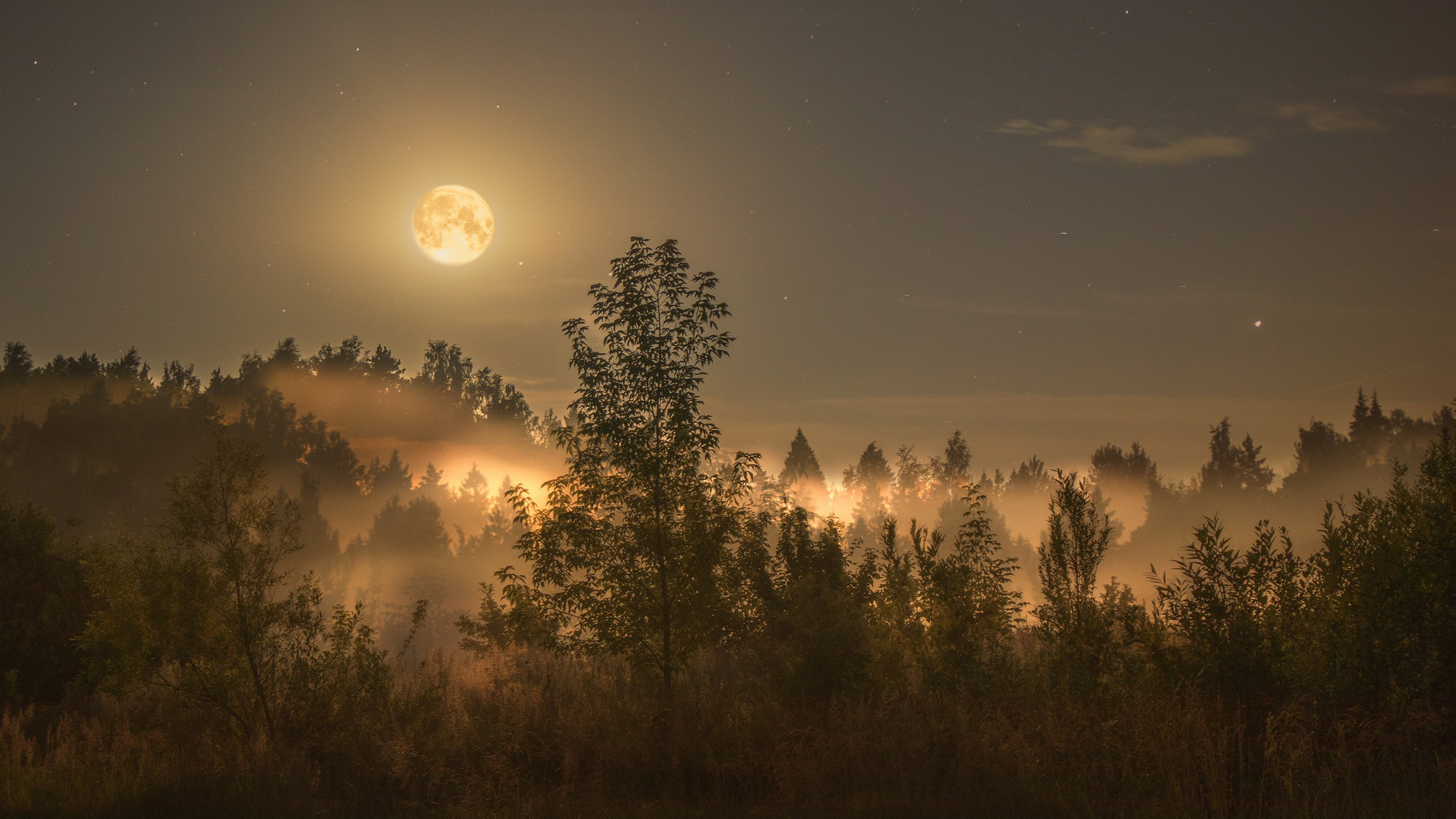 Попкова Виктория, фотограф, пейзаж, ночь, vphoto, звезды, небо, космос, фотокартины, природа, фотография