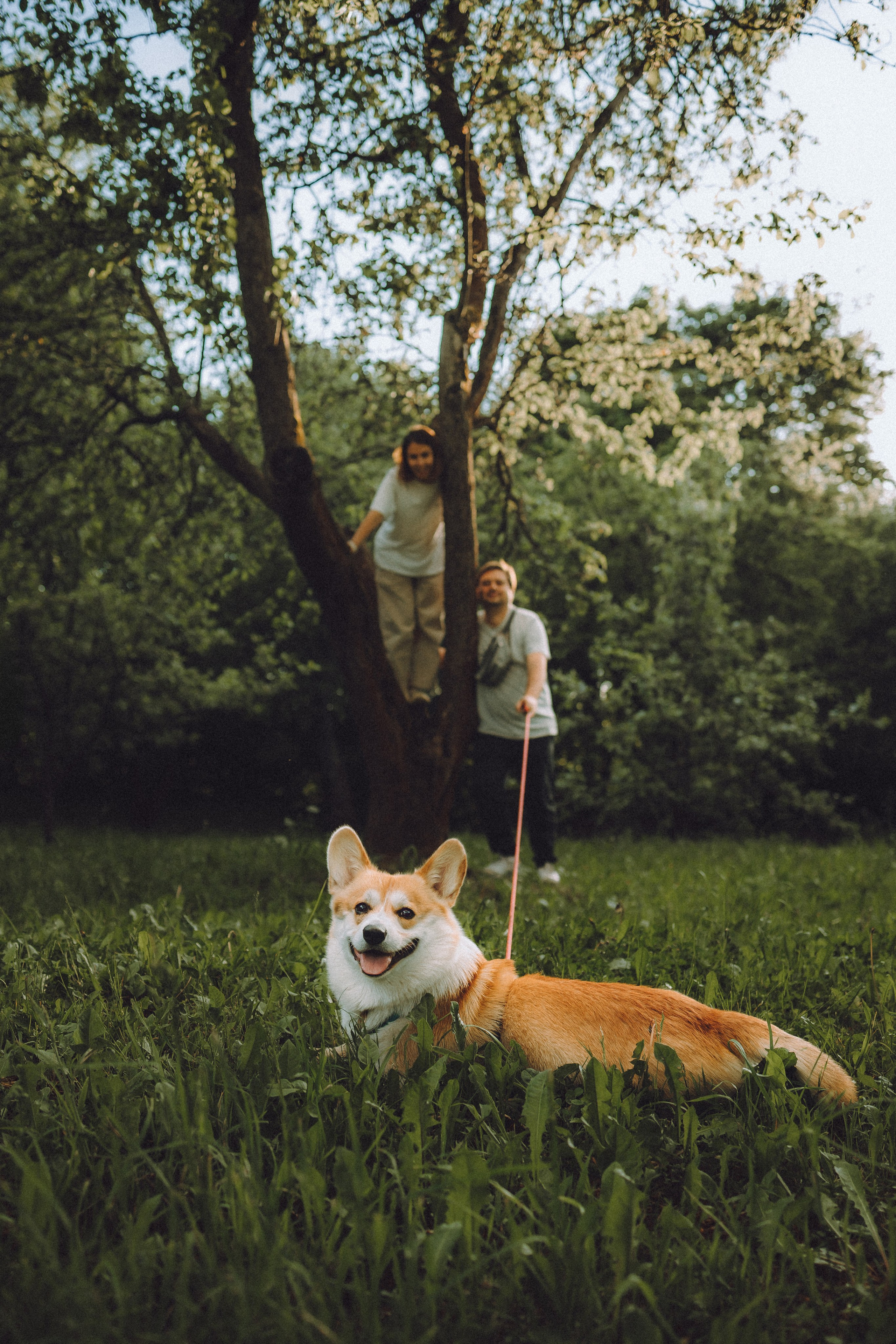 Вирджик и его семья