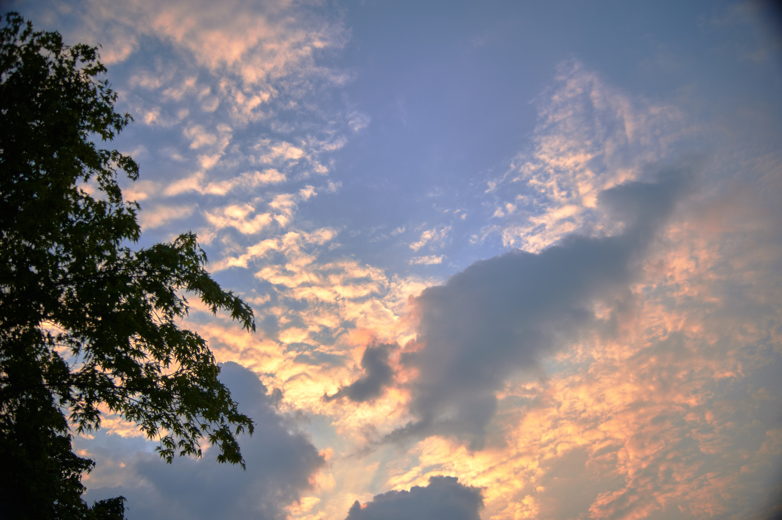 Снимки для продажи. Портретный, семейный и beauty фотограф в Краснодаре Артемий Сметанин