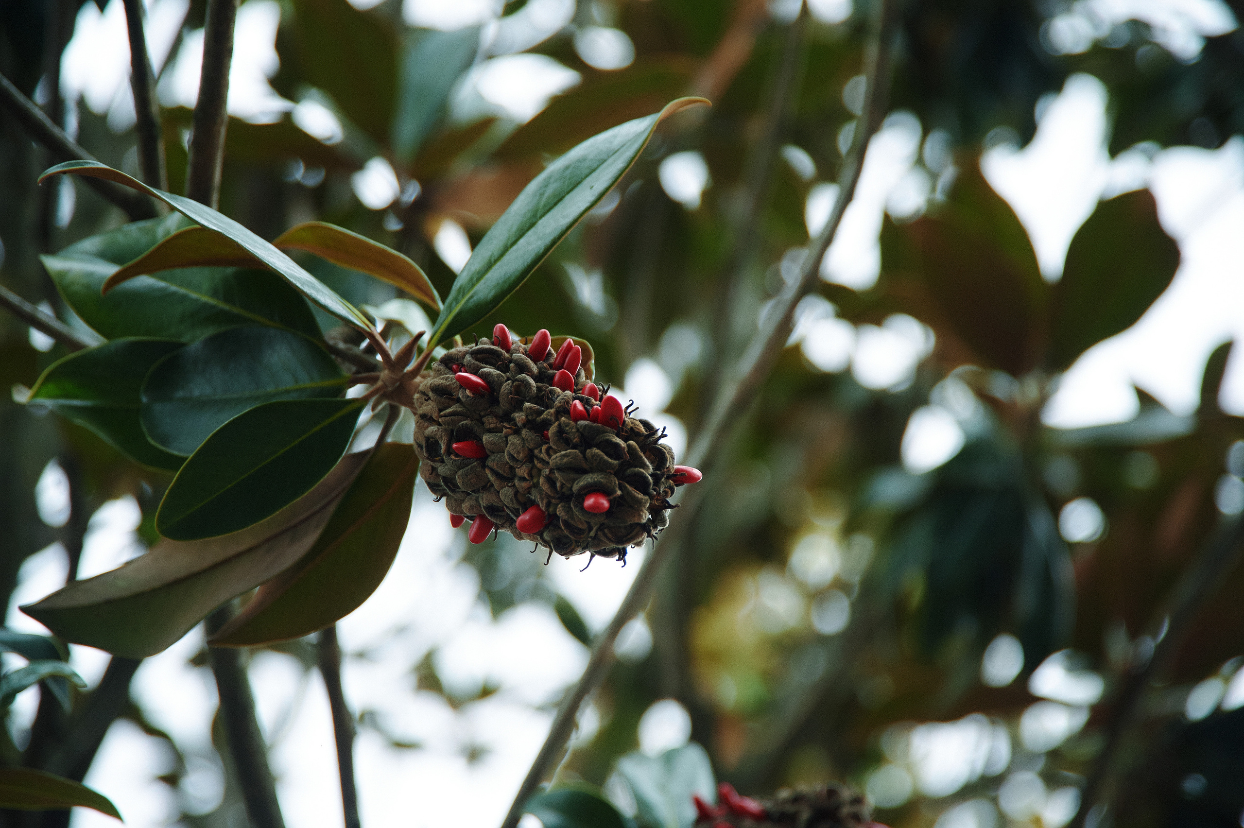 Снимки для продажи. Портретный, семейный и beauty фотограф в Краснодаре Артемий Сметанин