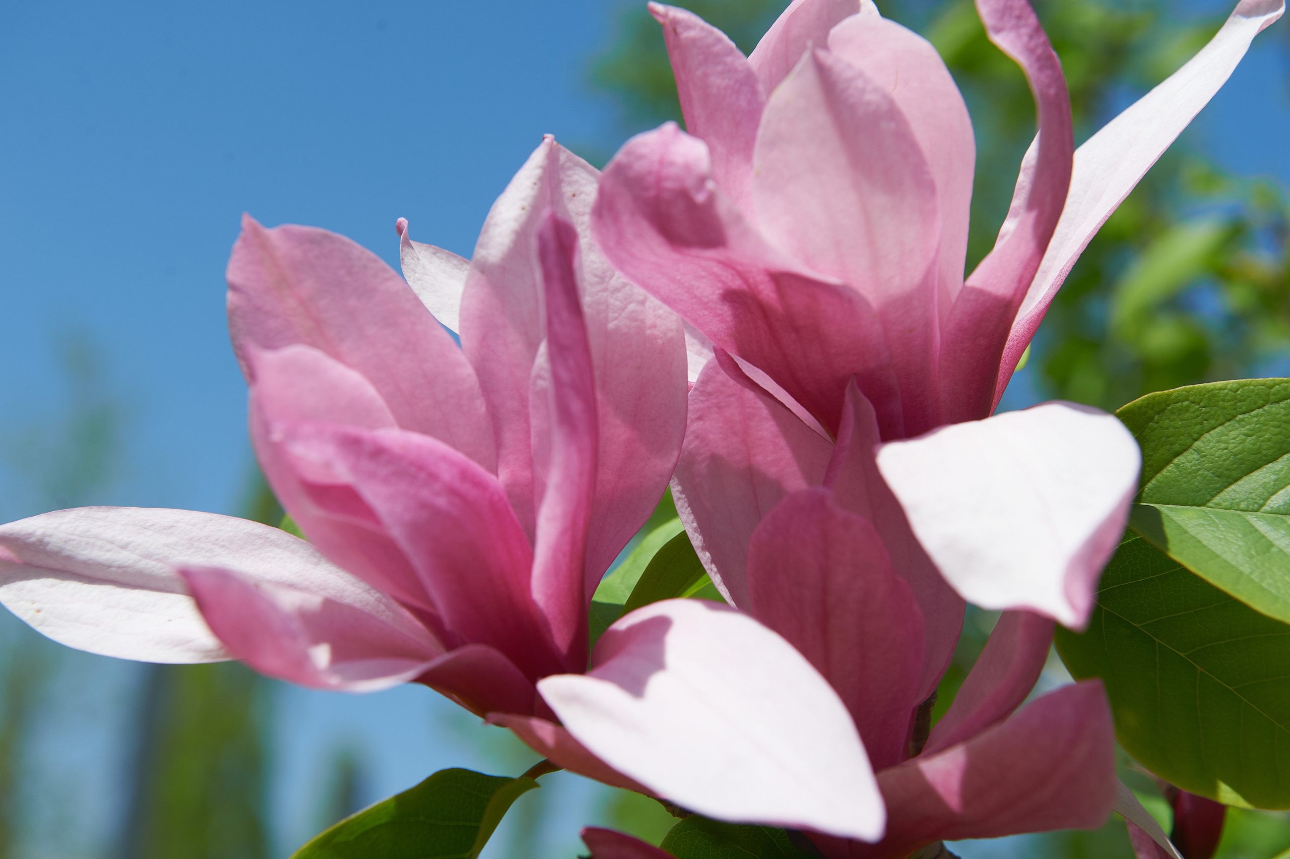 Снимки для продажи. Портретный, семейный и beauty фотограф в Краснодаре Артемий Сметанин