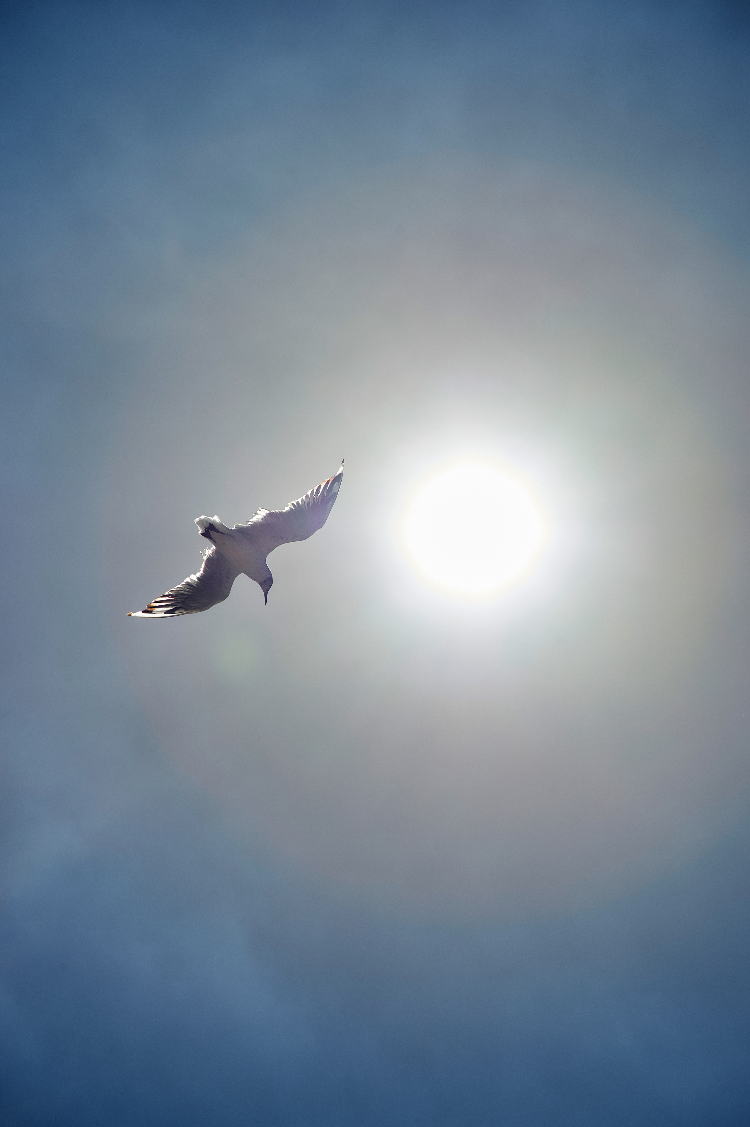 Снимки для продажи. Портретный, семейный и beauty фотограф в Краснодаре Артемий Сметанин