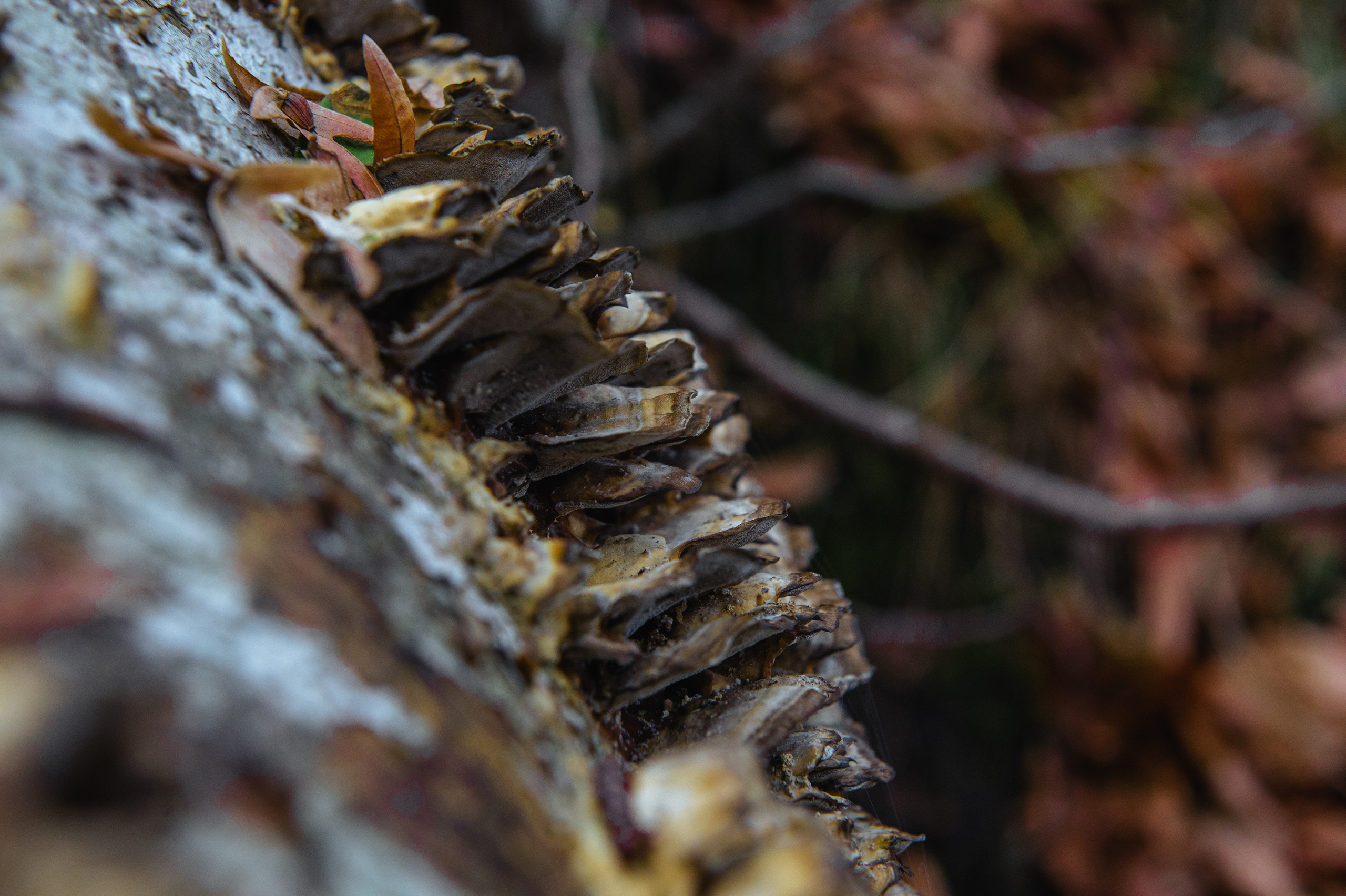 Снимки для продажи. Портретный, семейный и beauty фотограф в Краснодаре Артемий Сметанин