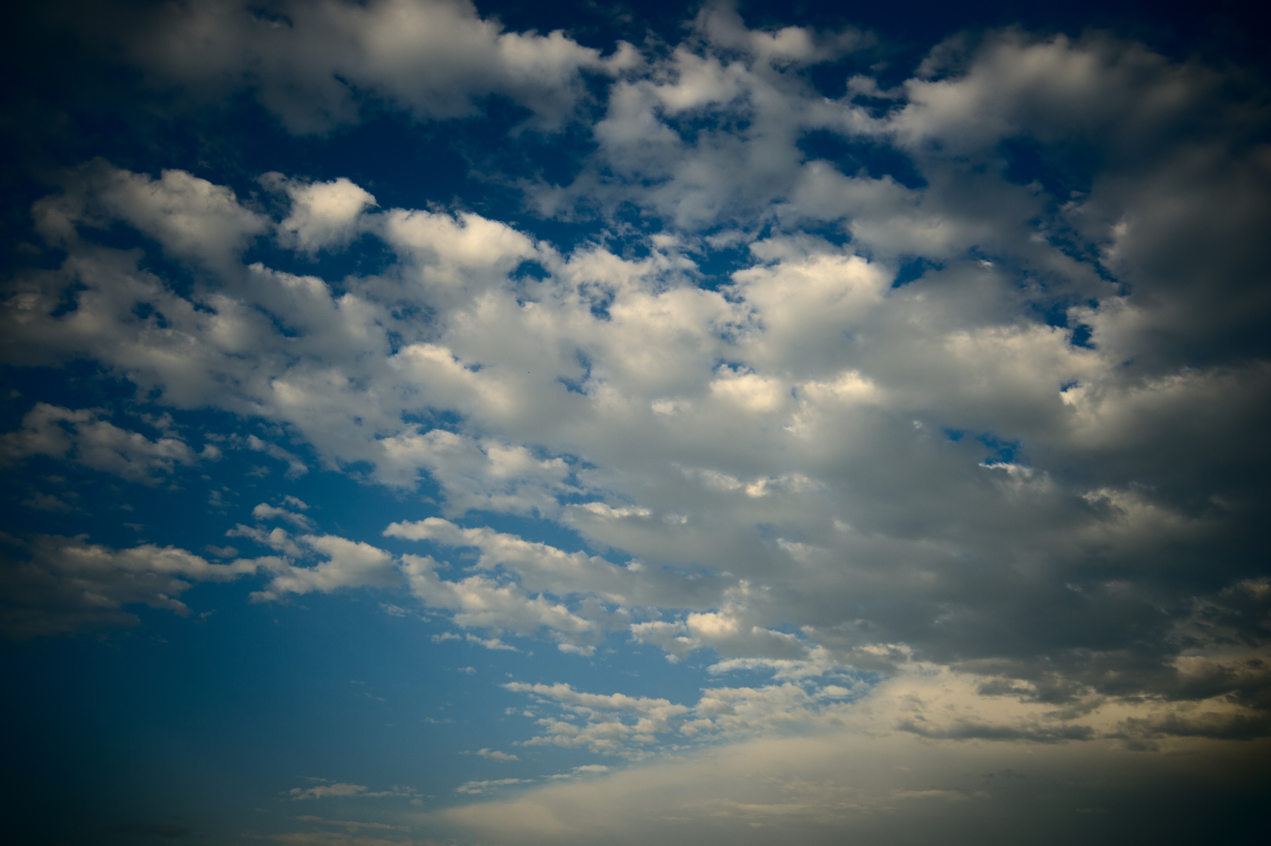 Снимки для продажи. Портретный, семейный и beauty фотограф в Краснодаре Артемий Сметанин