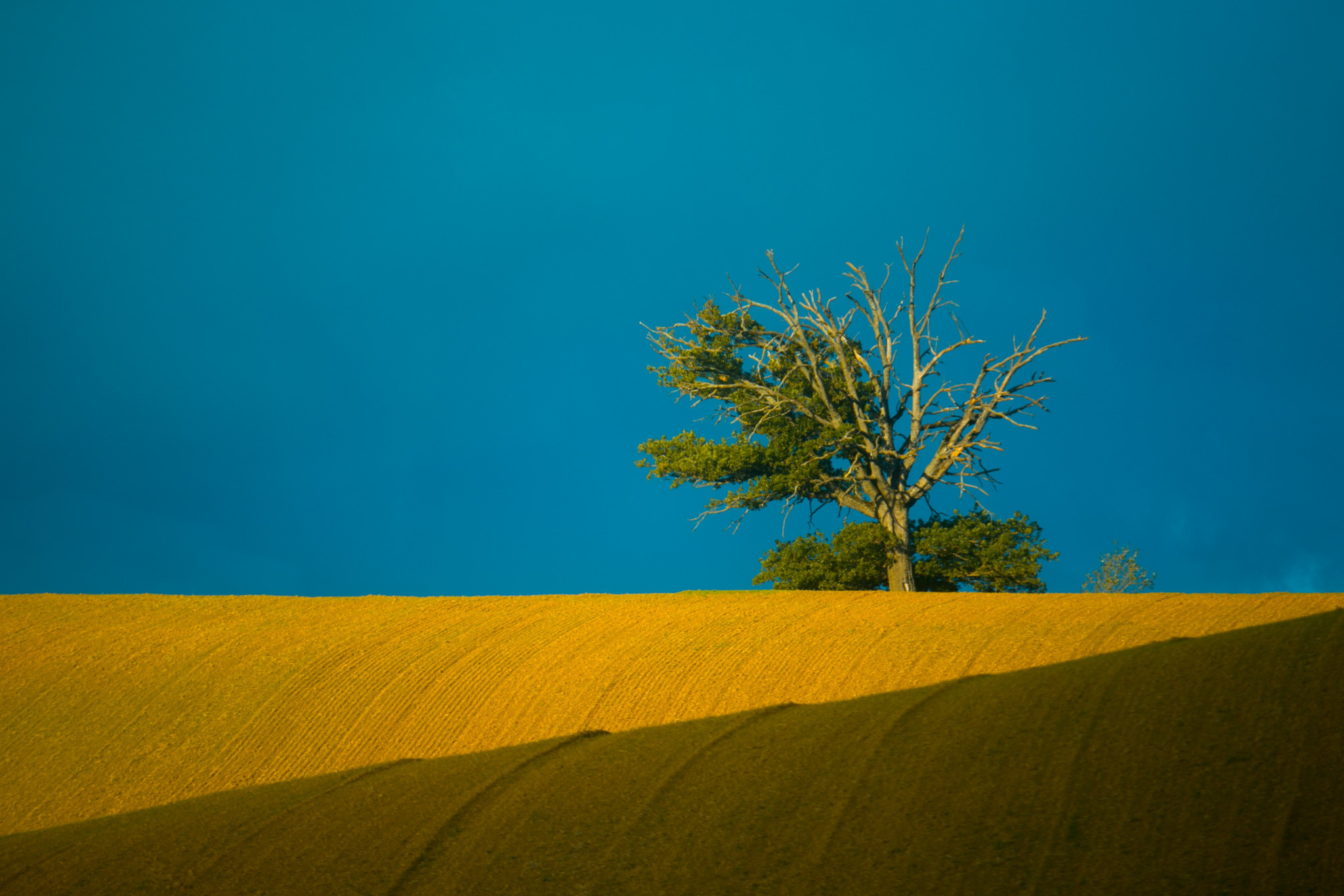Снимки для продажи. Портретный, семейный и beauty фотограф в Краснодаре Артемий Сметанин