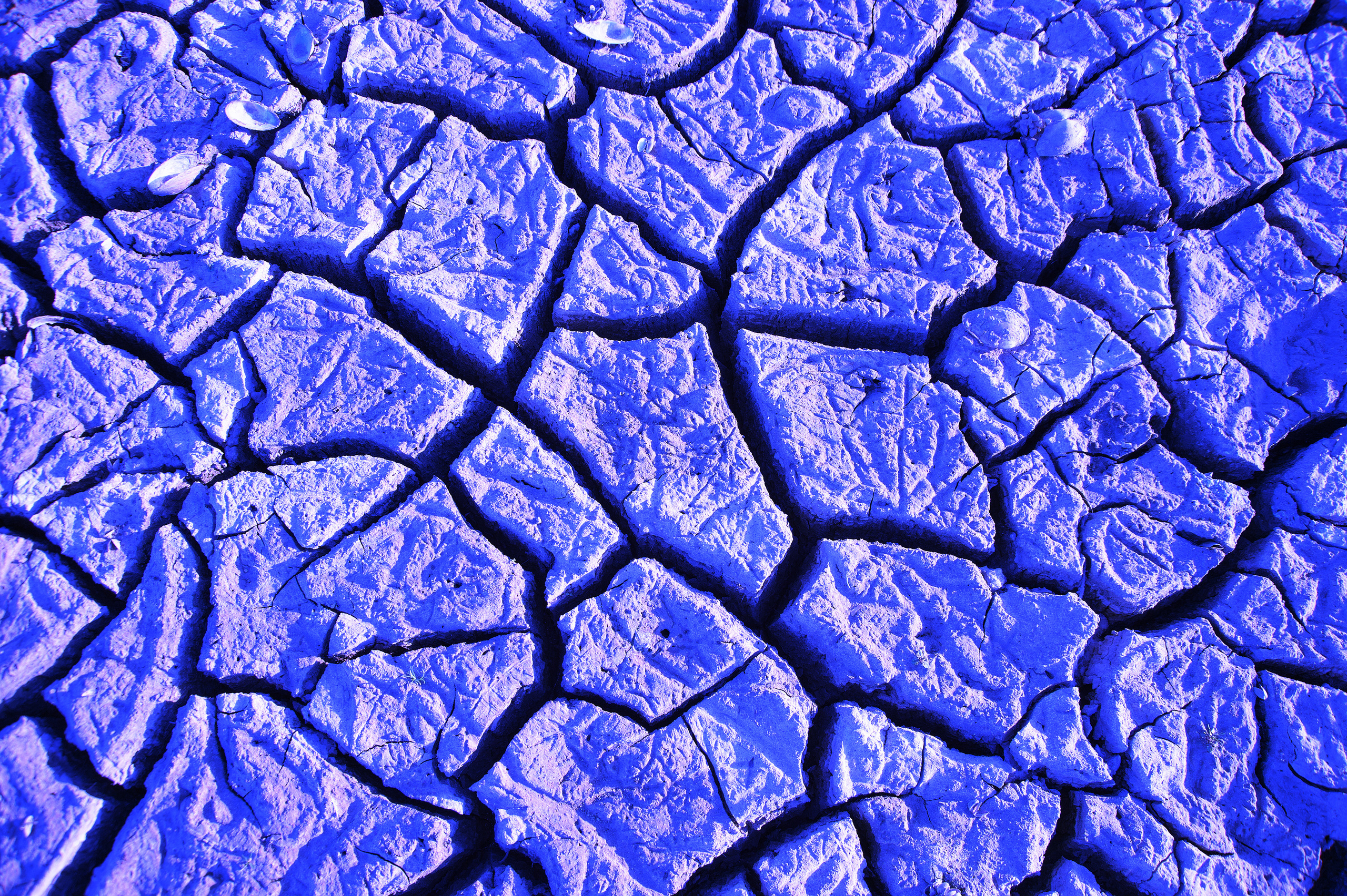 Снимки для продажи. Портретный, семейный и beauty фотограф в Краснодаре Артемий Сметанин