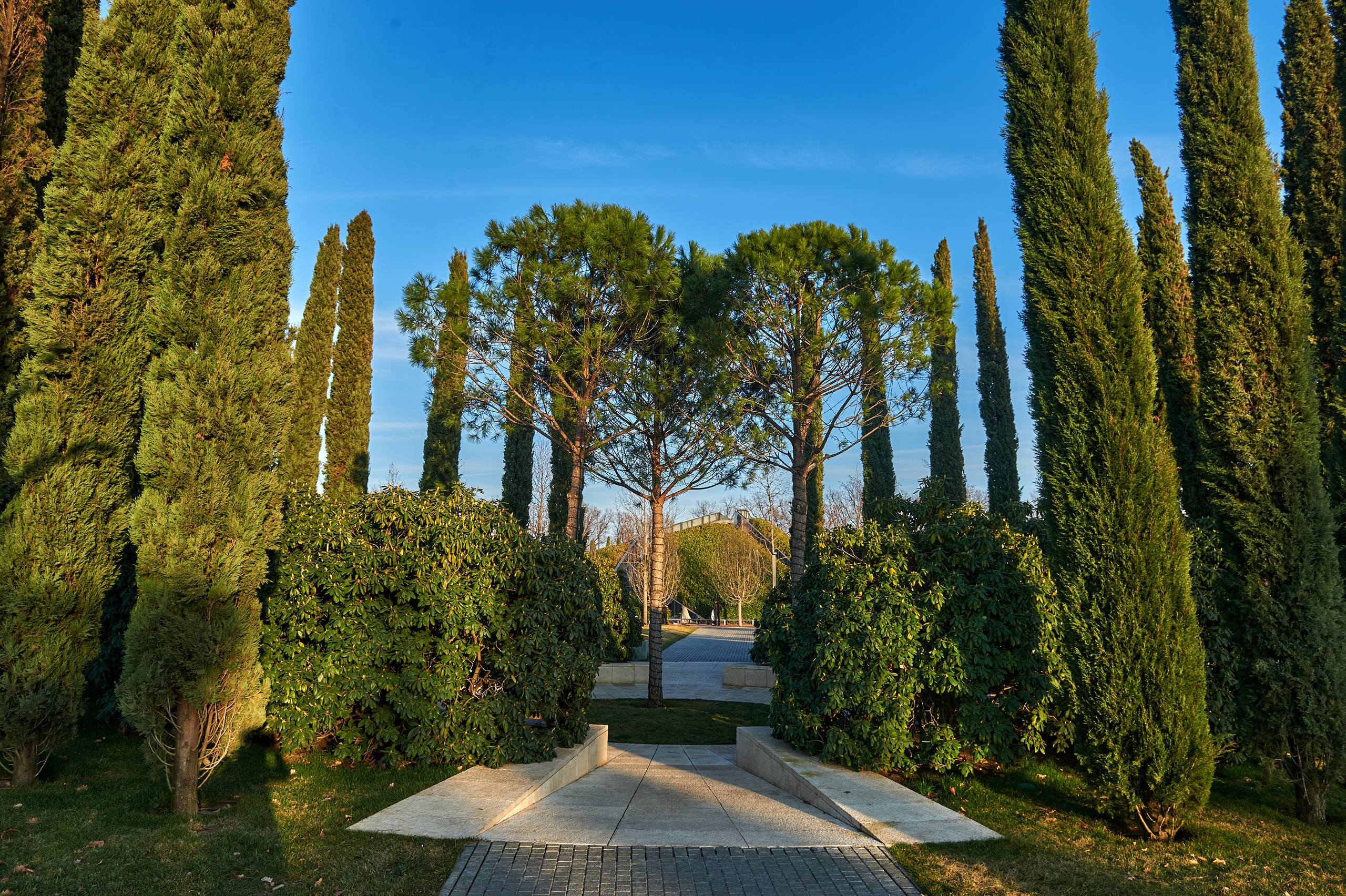 Снимки для продажи. Портретный, семейный и beauty фотограф в Краснодаре Артемий Сметанин