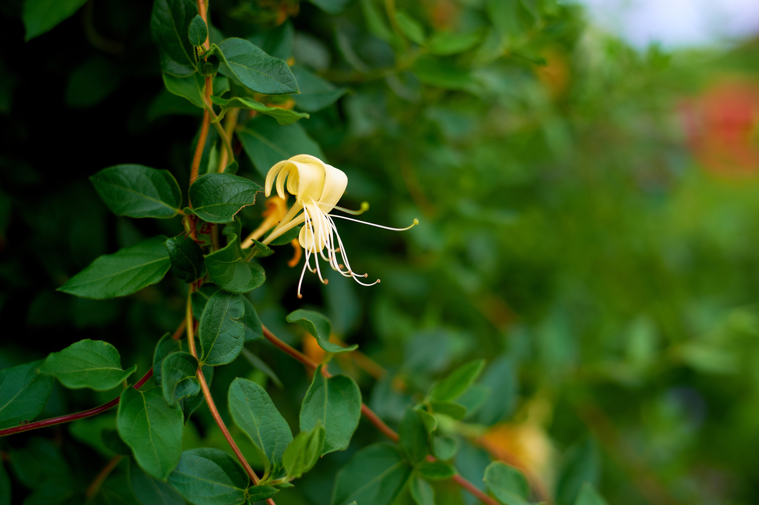 Снимки для продажи. Портретный, семейный и beauty фотограф в Краснодаре Артемий Сметанин