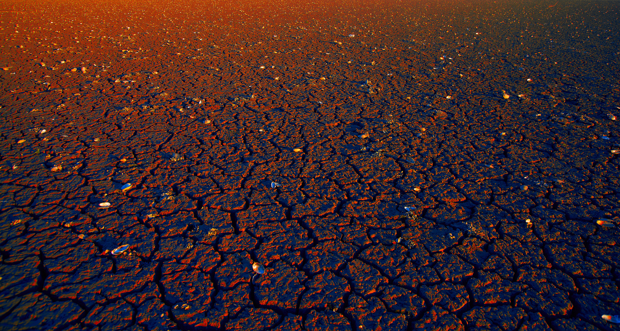 Снимки для продажи. Портретный, семейный и beauty фотограф в Краснодаре Артемий Сметанин