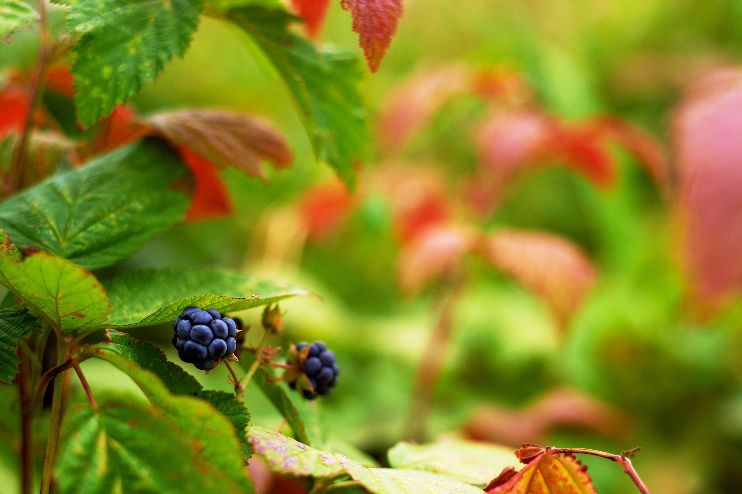 Снимки для продажи. Портретный, семейный и beauty фотограф в Краснодаре Артемий Сметанин