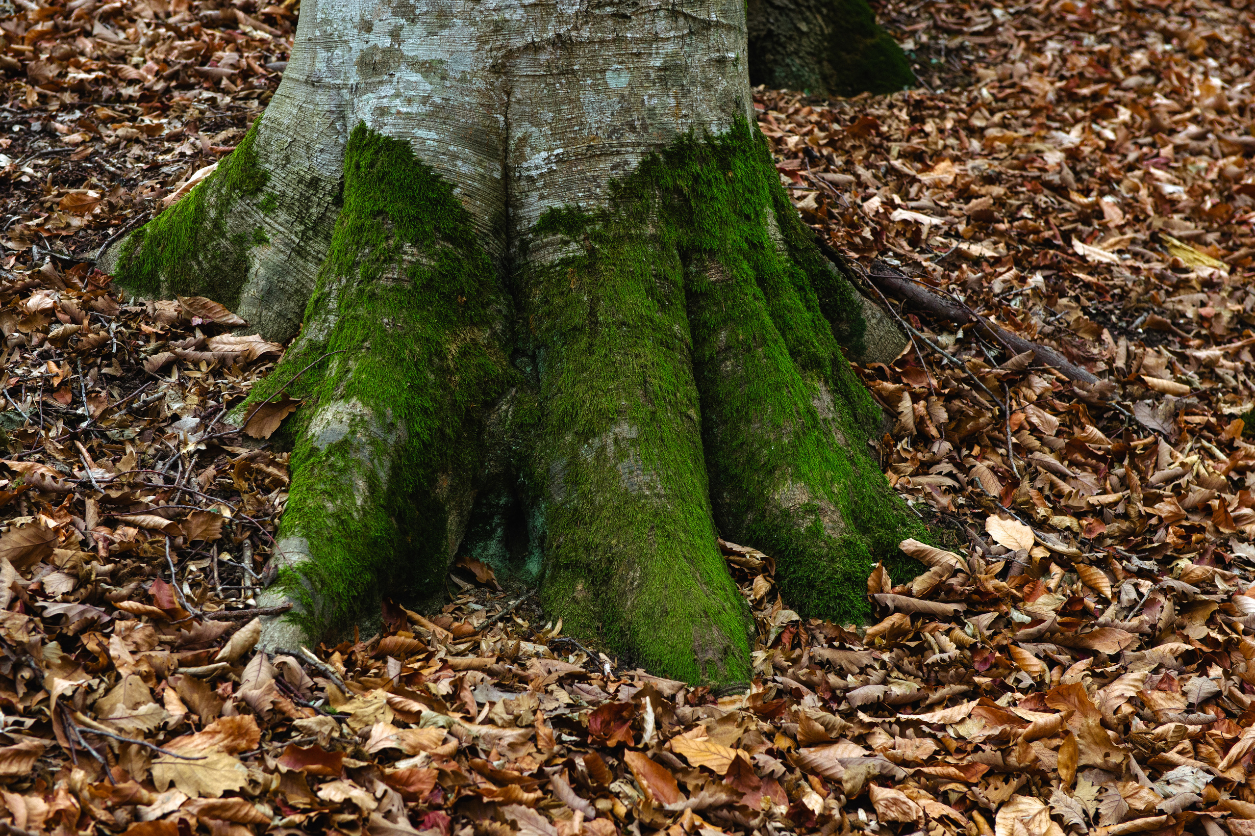 Снимки для продажи. Портретный, семейный и beauty фотограф в Краснодаре Артемий Сметанин