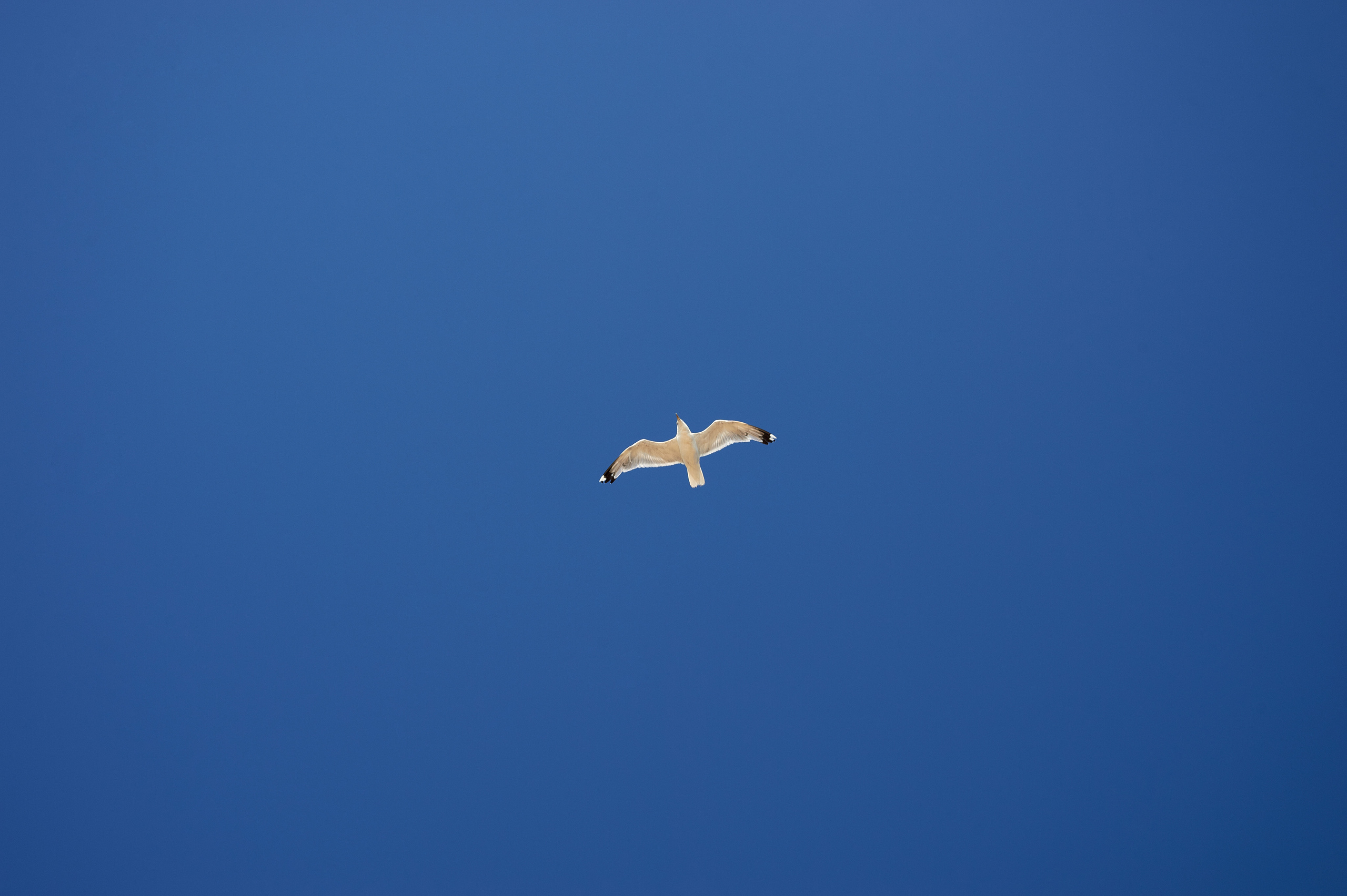 Снимки для продажи. Портретный, семейный и beauty фотограф в Краснодаре Артемий Сметанин