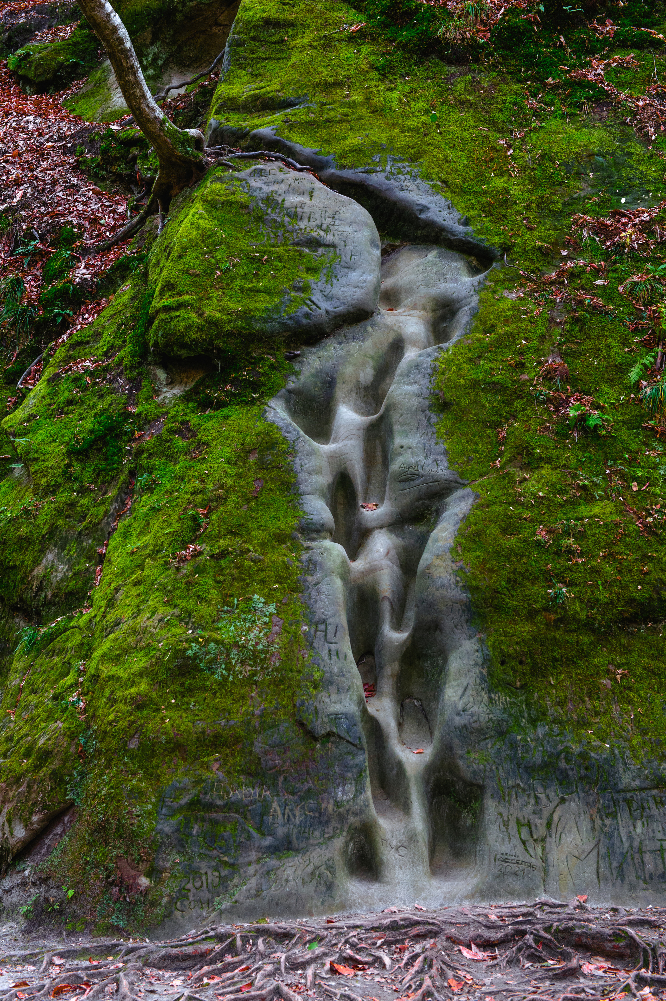 Снимки для продажи. Портретный, семейный и beauty фотограф в Краснодаре Артемий Сметанин