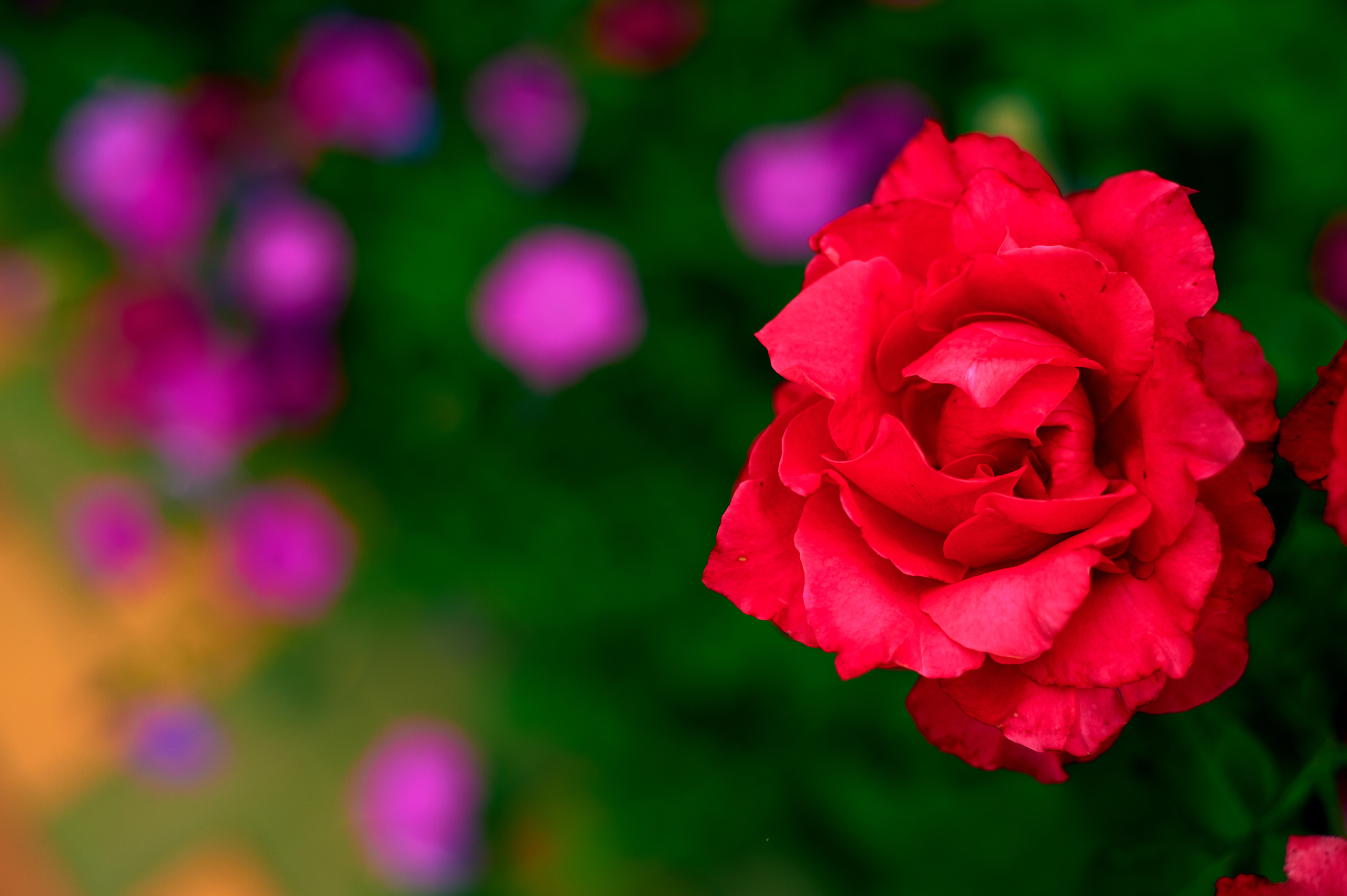 Снимки для продажи. Портретный, семейный и beauty фотограф в Краснодаре Артемий Сметанин