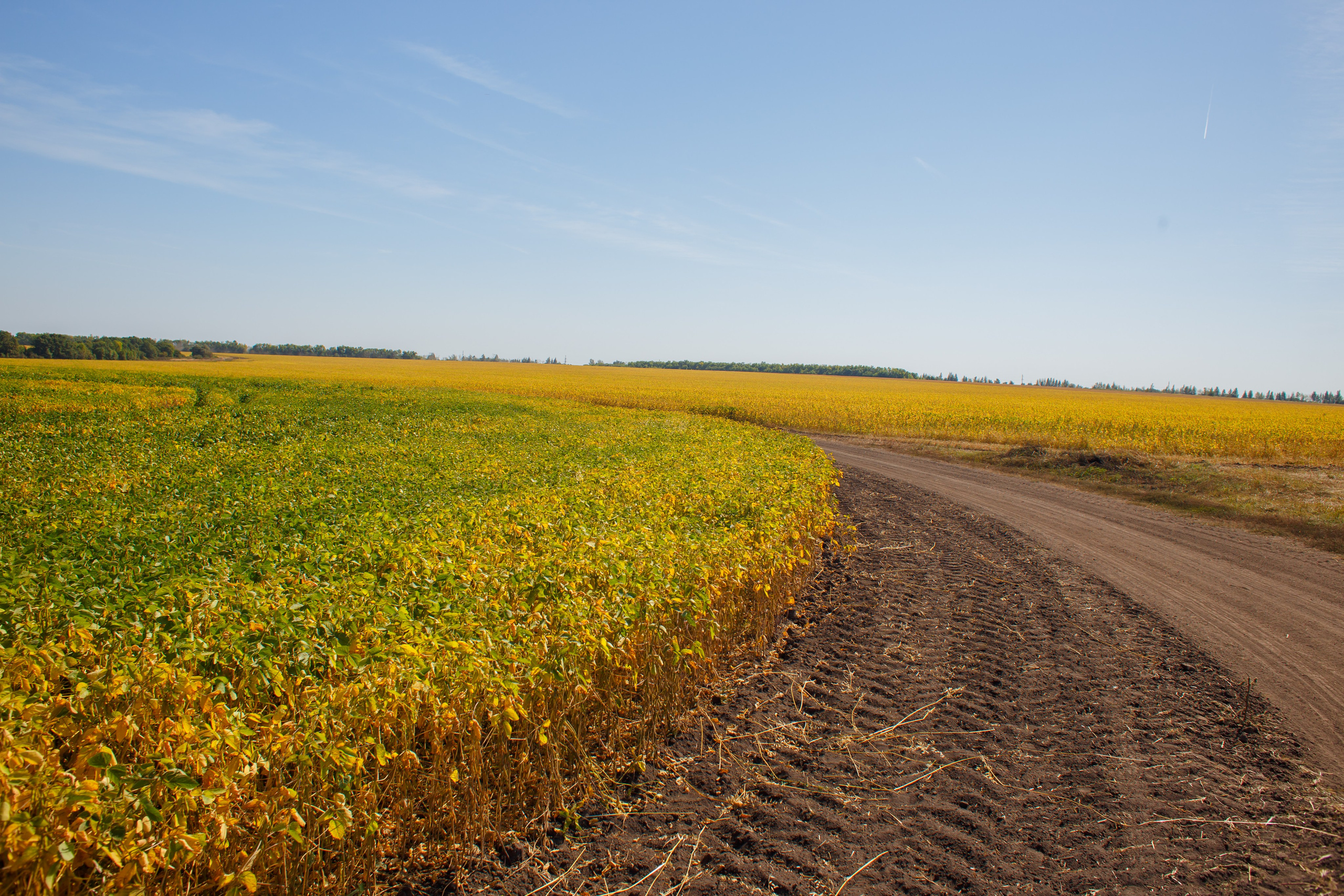 Агротерра. Фотограф Яков Поспехов
