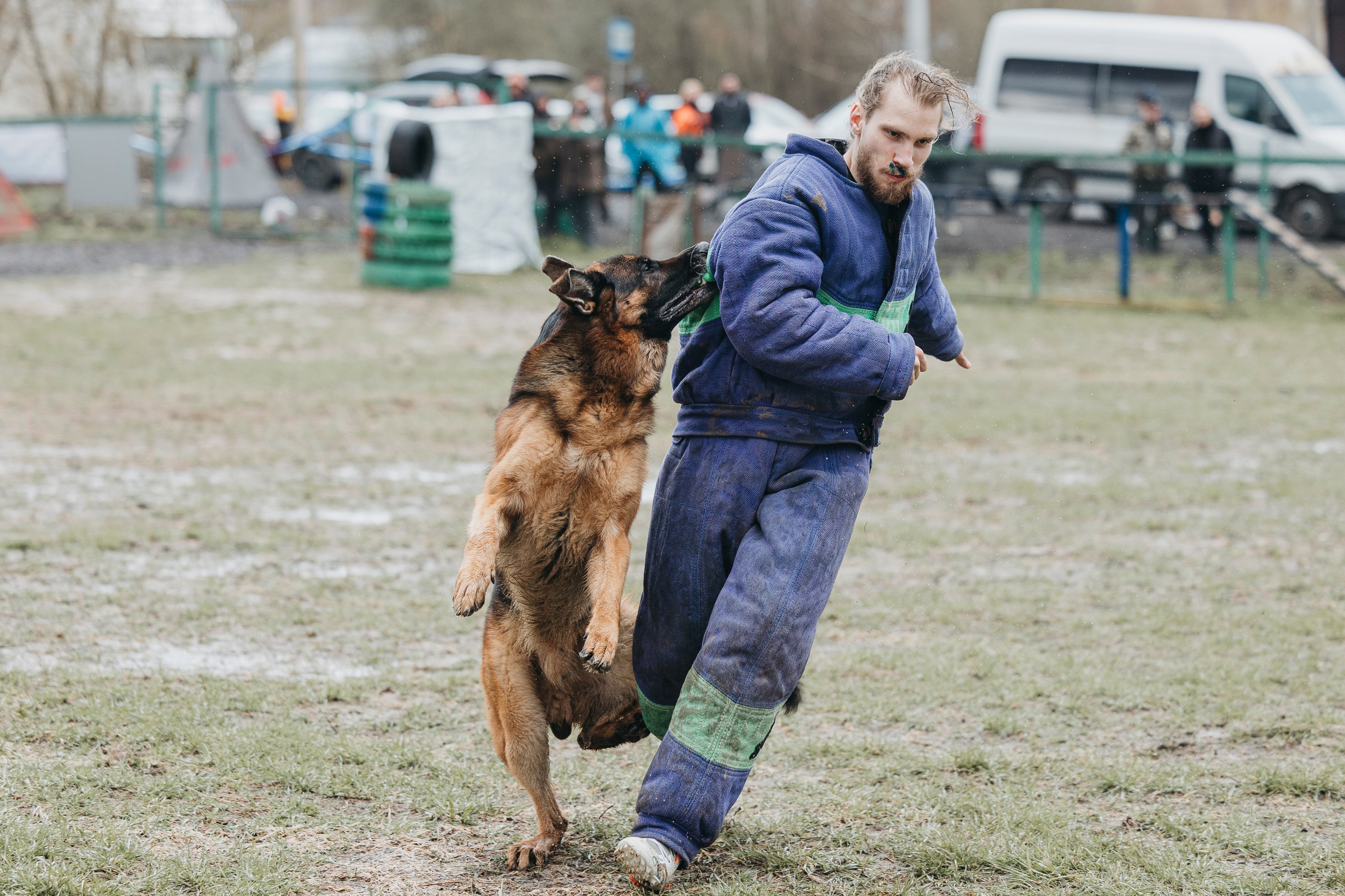 09.05.25 Вологда соревнования. Фотограф-анималист Анна Маринич