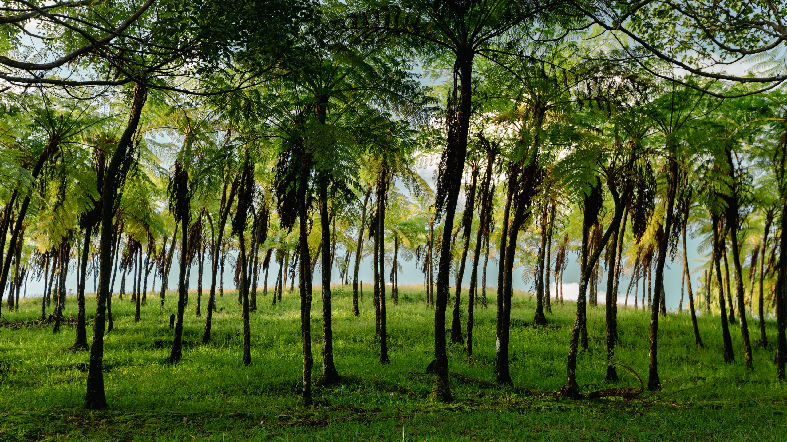 Путешествия. Оператор Мария Боровкова