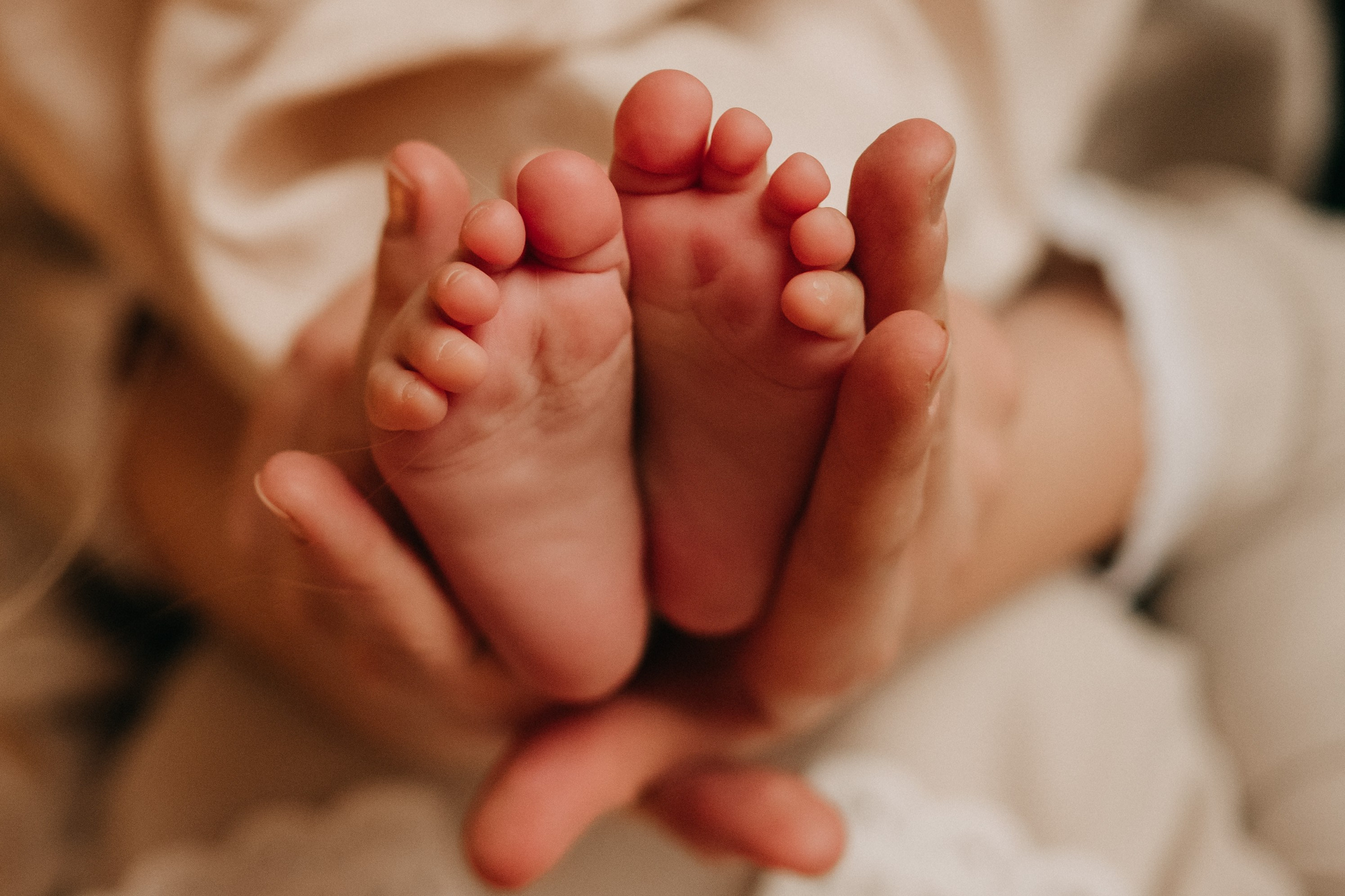 Новогодння. Кристина Ветрова | ФОТОГРАФ | Москва