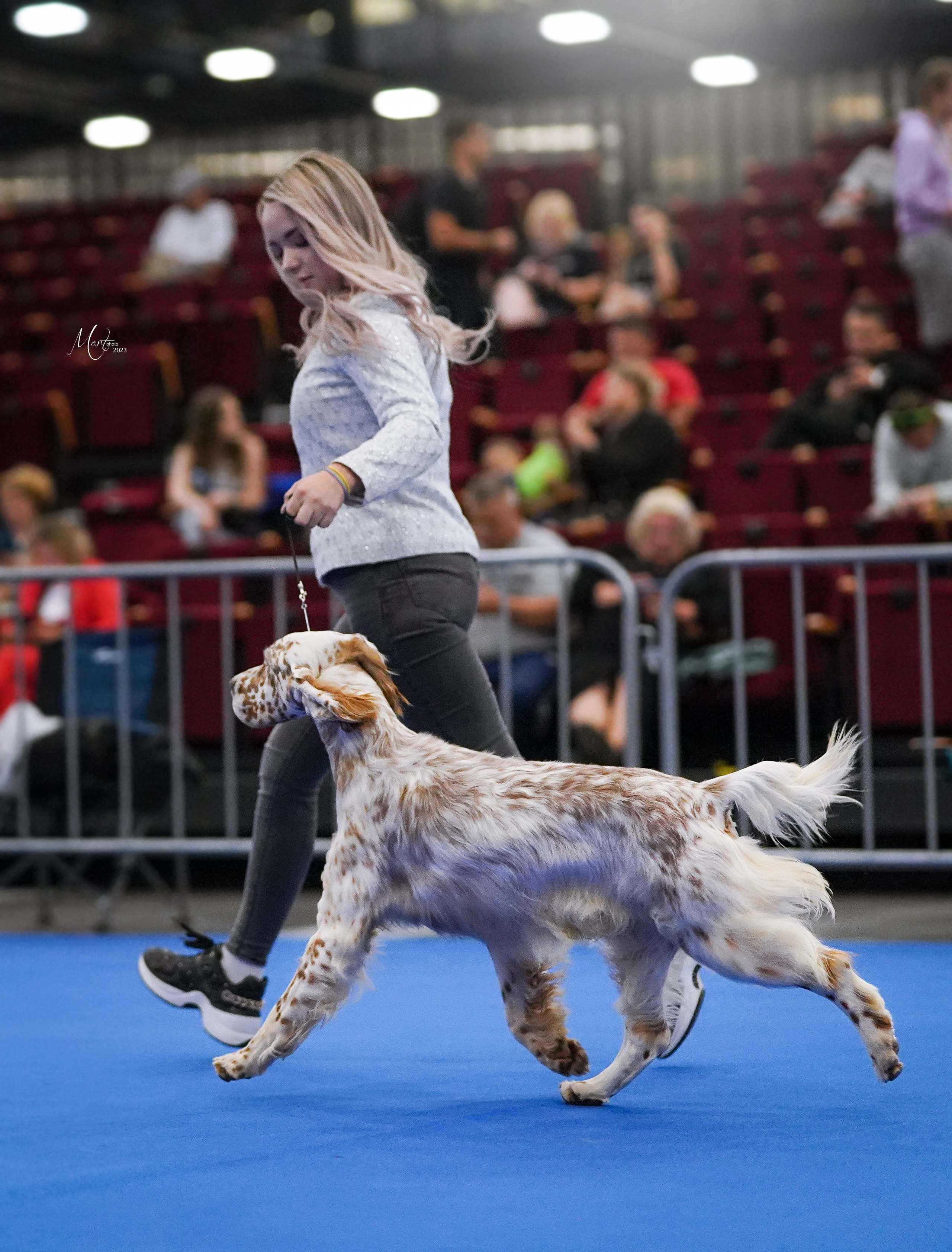 Выставки 2023. Фотограф-анималист в Санкт-Петербурге Яна Мартынова