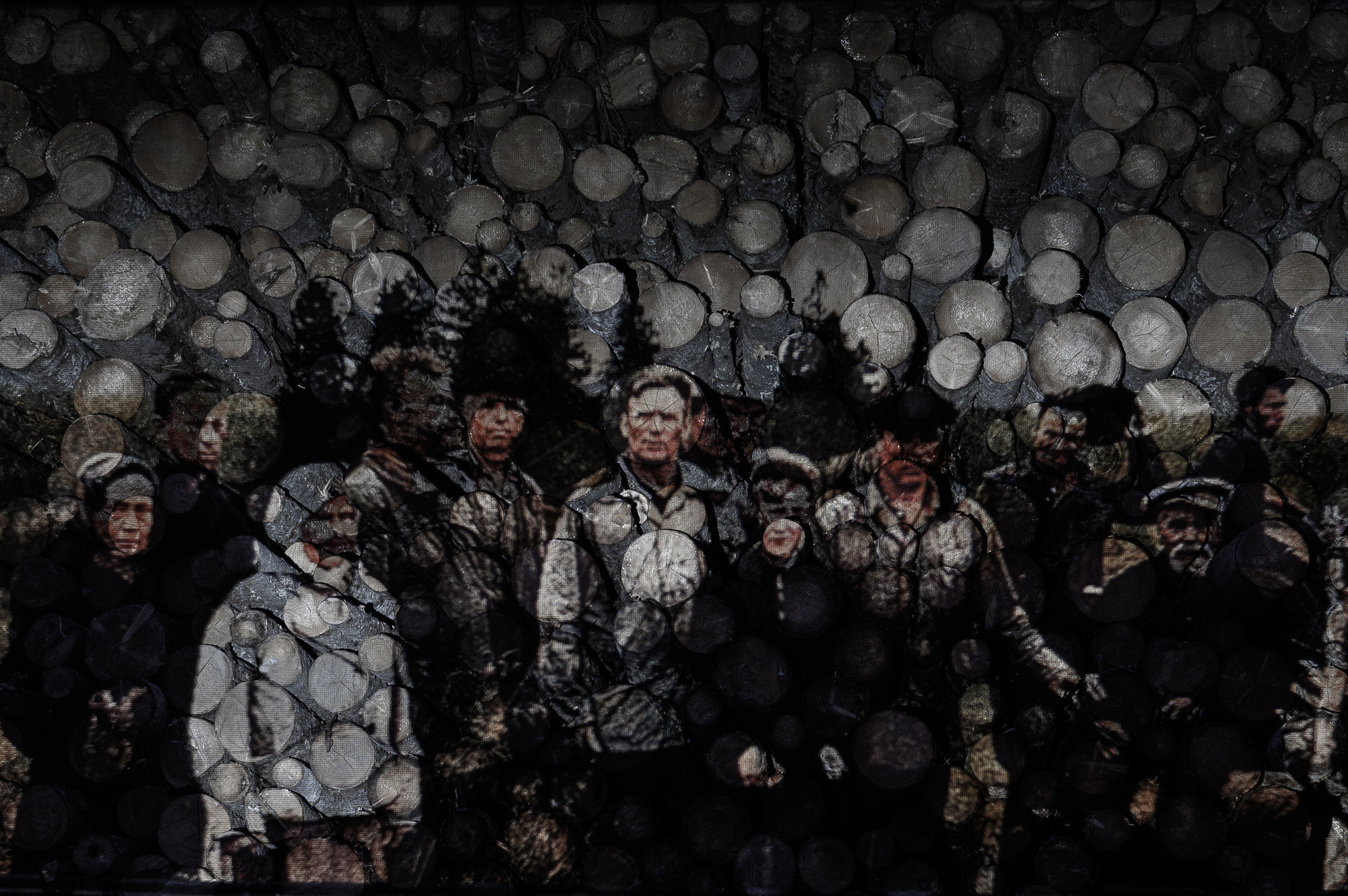 Mecan muštond. Irek Shamanaev. Visual artist