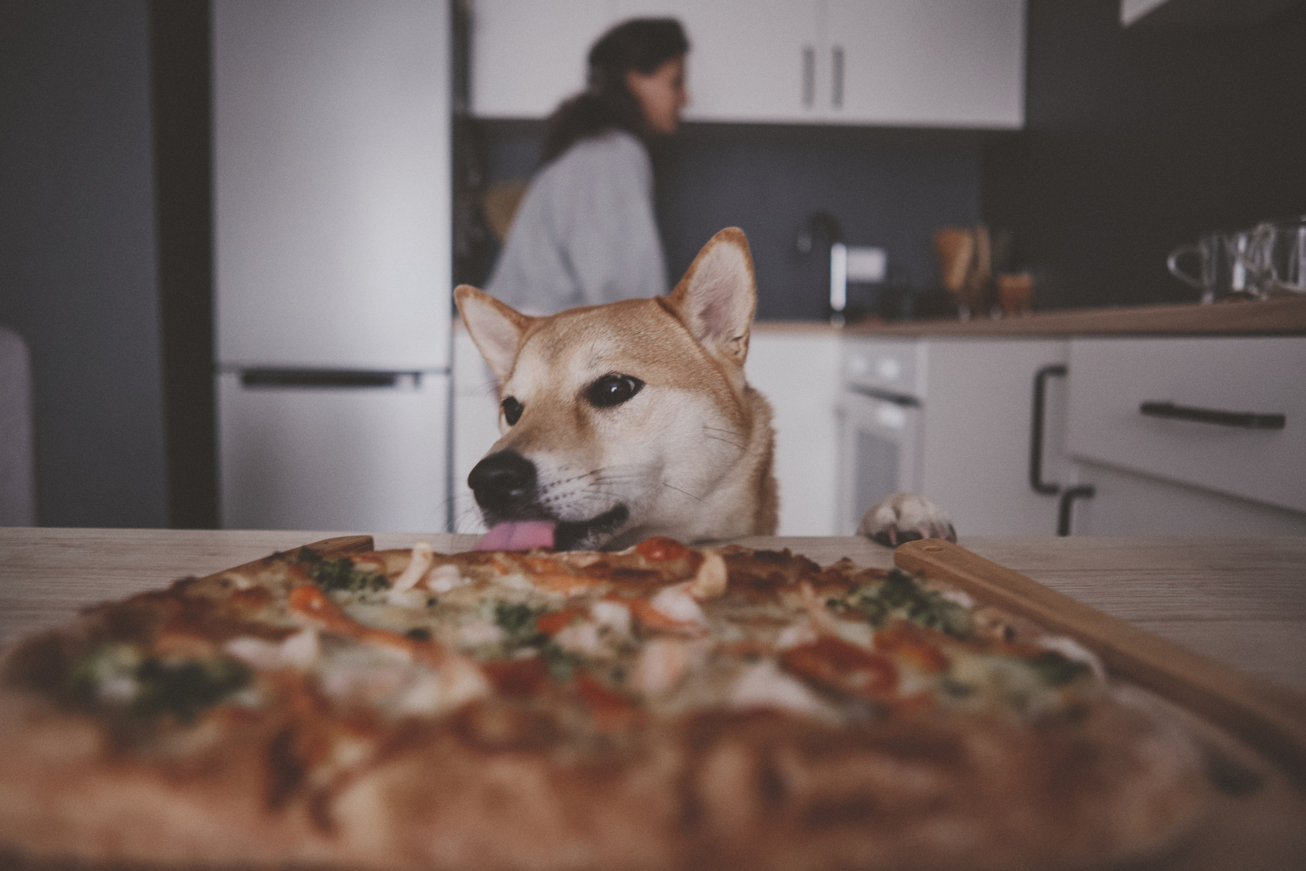 Masha. Portrait, family and pet photographer in Cyprus, Ksenia Bourdelle