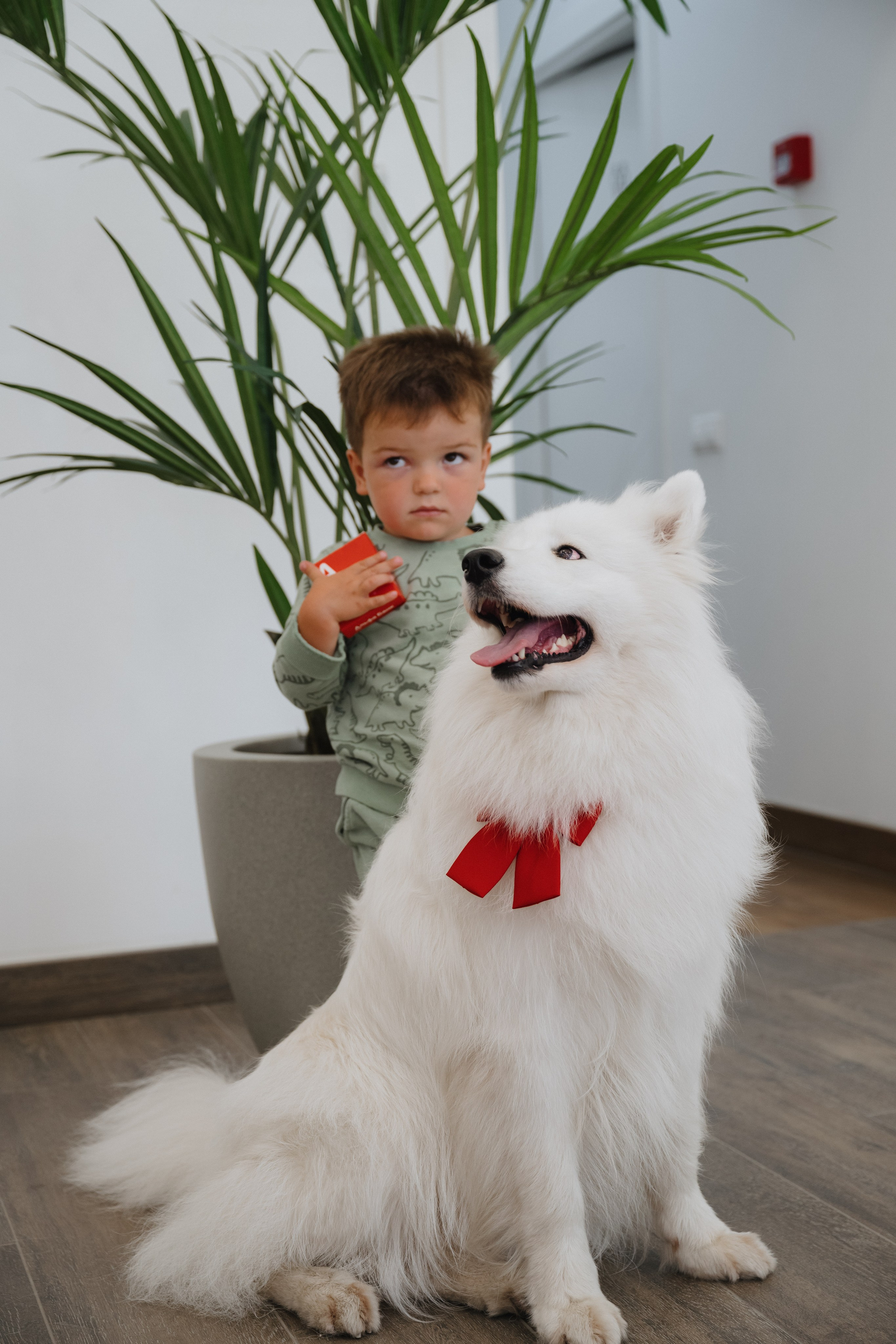 Альфа банк Карла Маркса 55. Фотограф Кристина Тумаева. Самоед Новосибирск