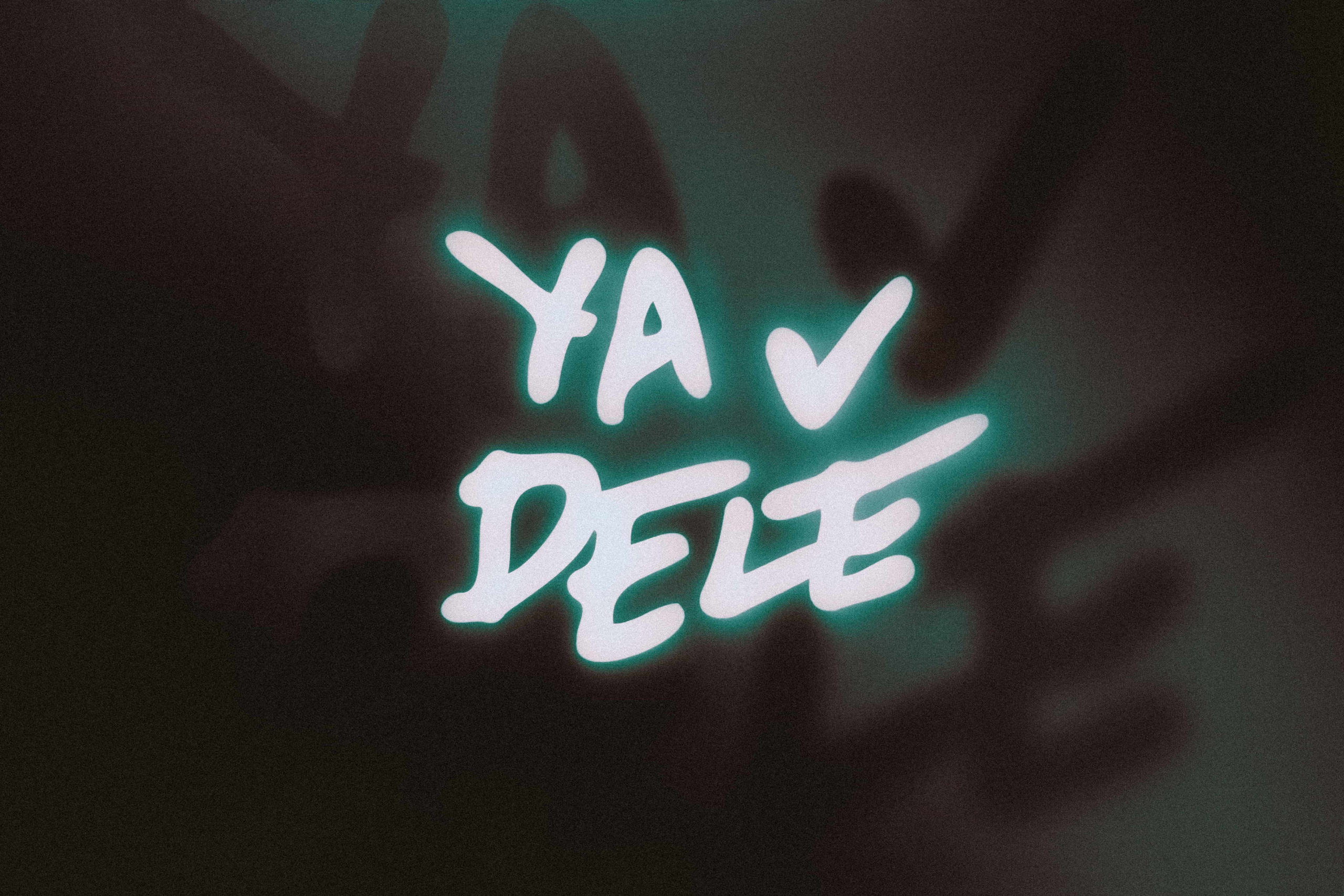 Мероприятие «Я в деле». Фотограф Великий Новгород Артем Чернецкий