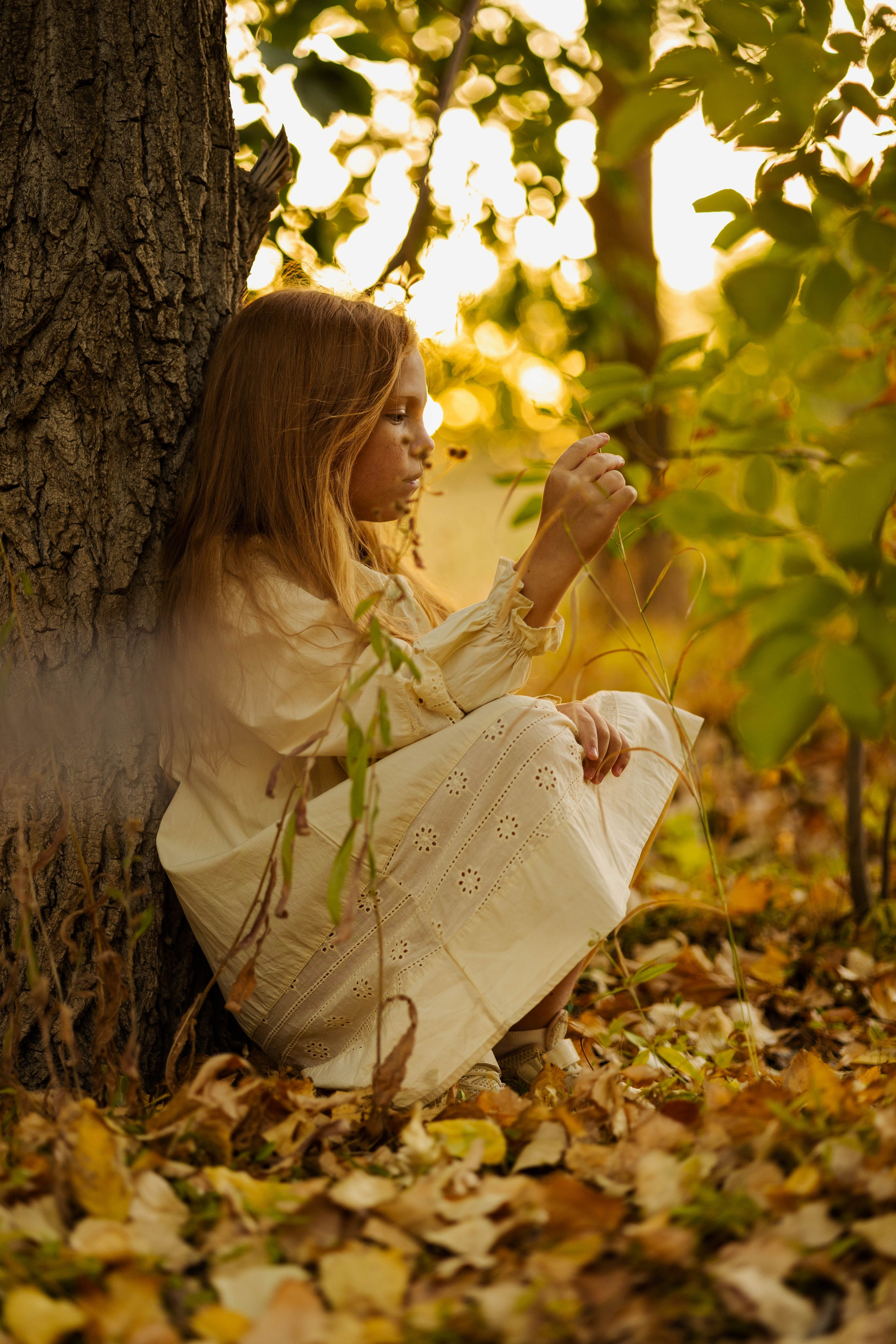 Семья и дети. Основное