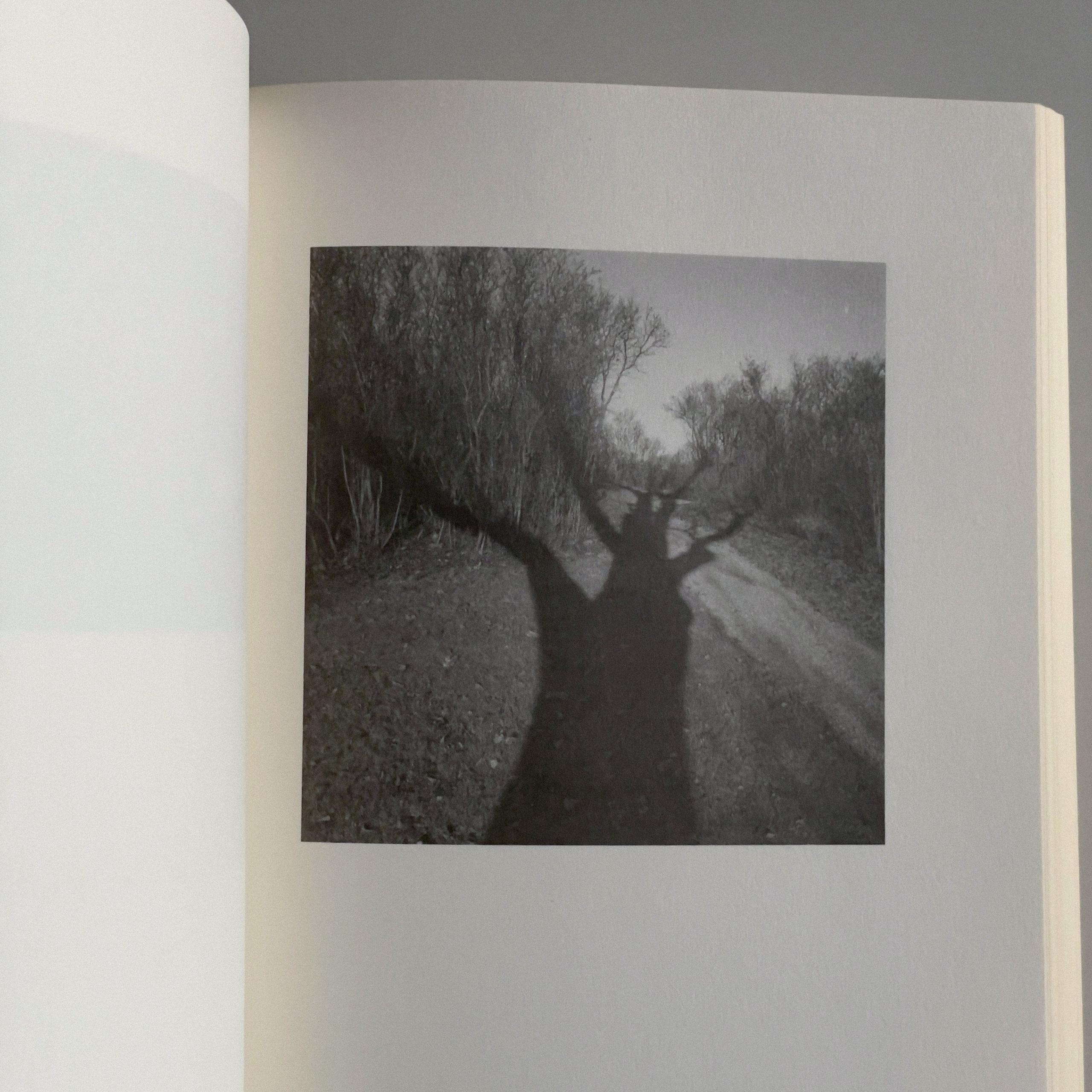 Фотокнижная библиотека Глеба Сергеева. Фотограф и исследователь фотографии из Санкт-Петербурга Елизавета Веприцкая