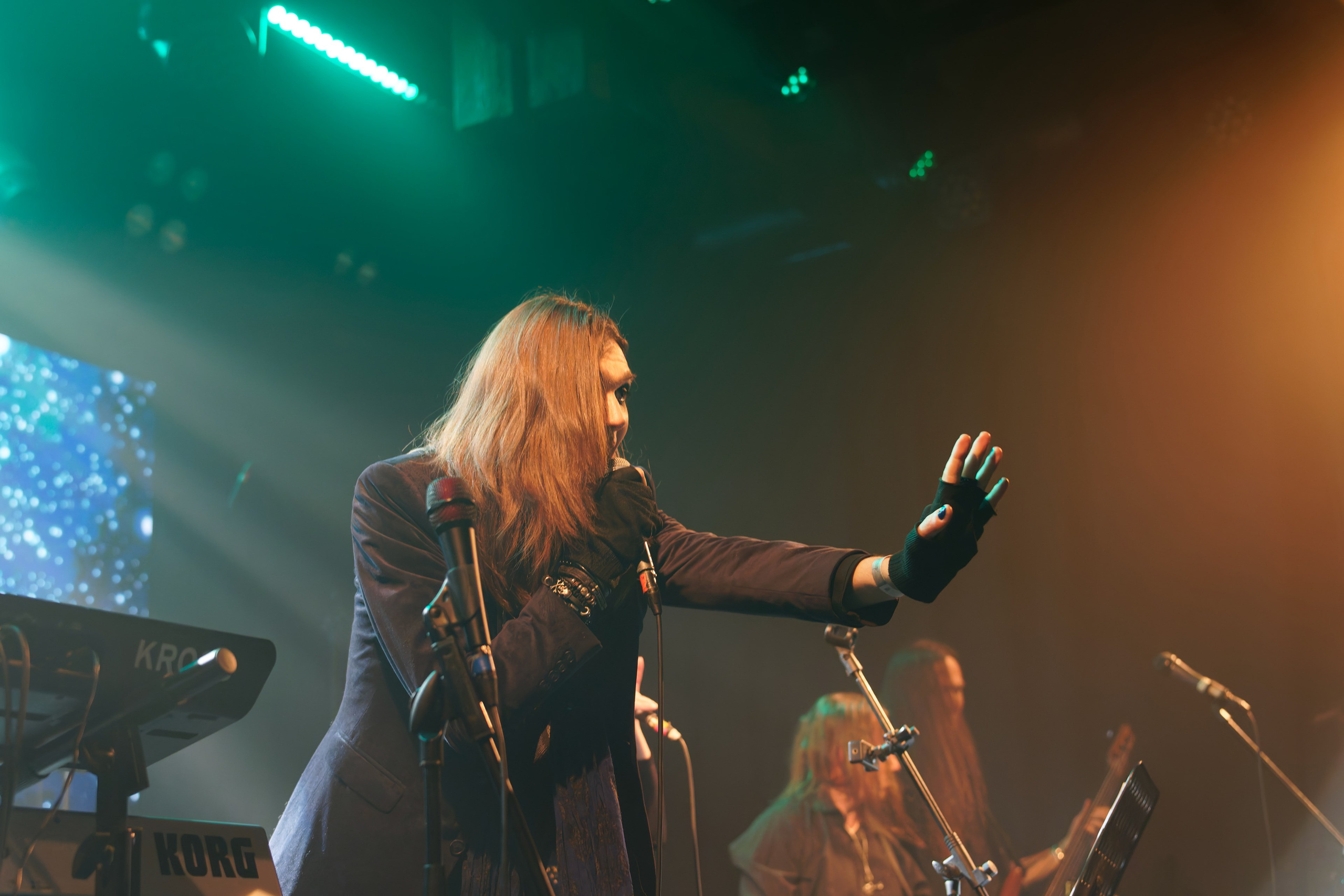 Группа Nimea (Nightwish кавер). Андрей Васильев. Фотограф, Санкт-Петербург, Российская Федерация