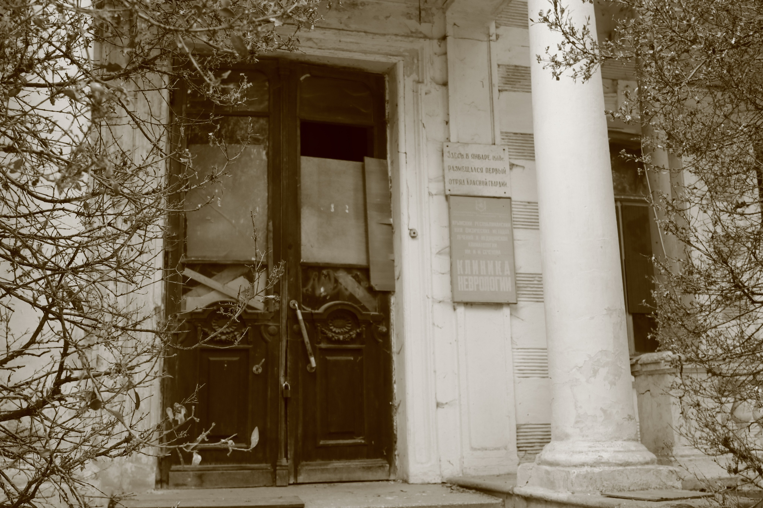 Крым. ЮБК (Севастополь, Кастрополь, Ялта). Май 2023. Путешественник-фотограф из Санкт-Петербурга Татьяна Свистулина