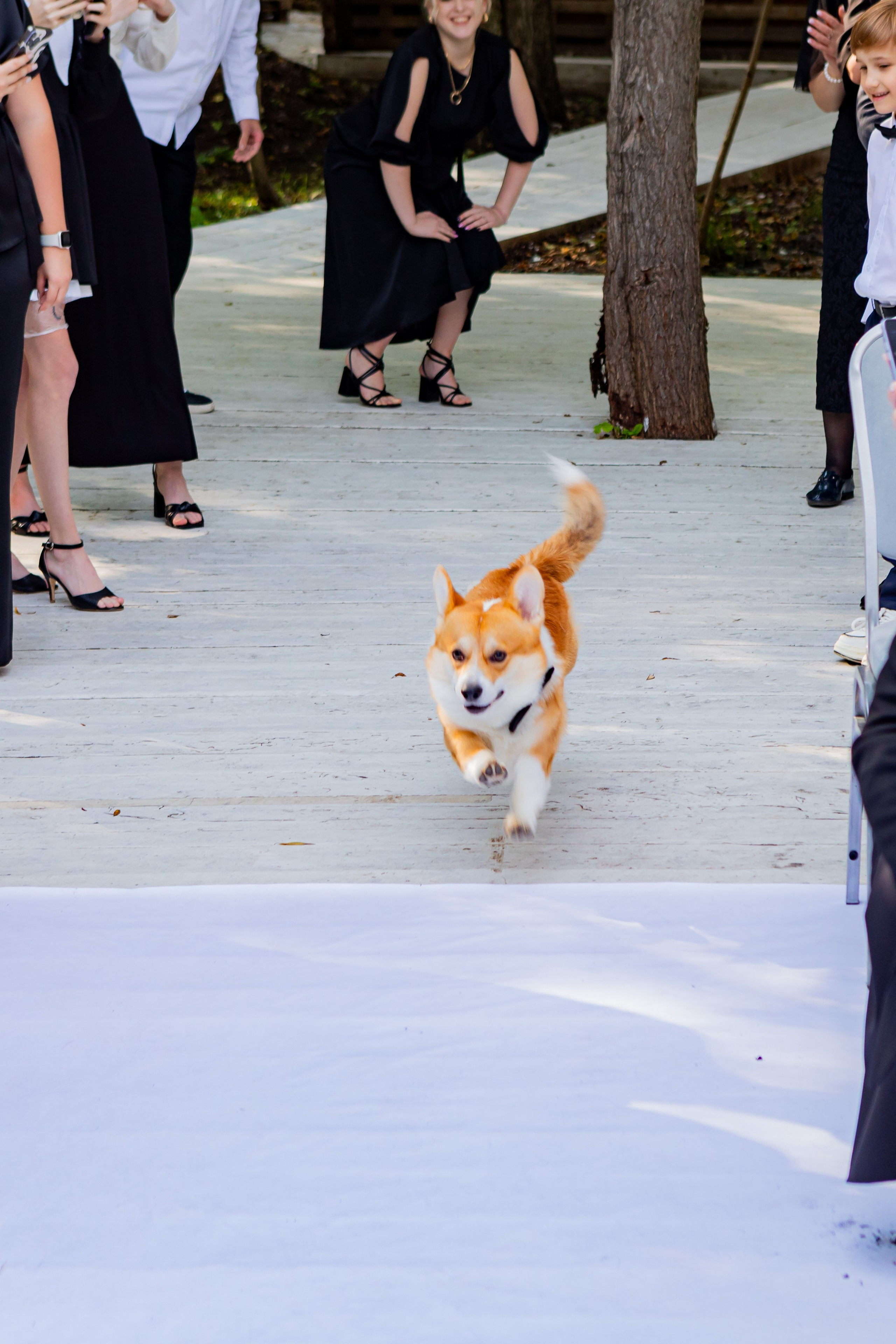 Свадьба Александра и Кристины. Ведущая праздников и мероприятий Ирина Гумерова