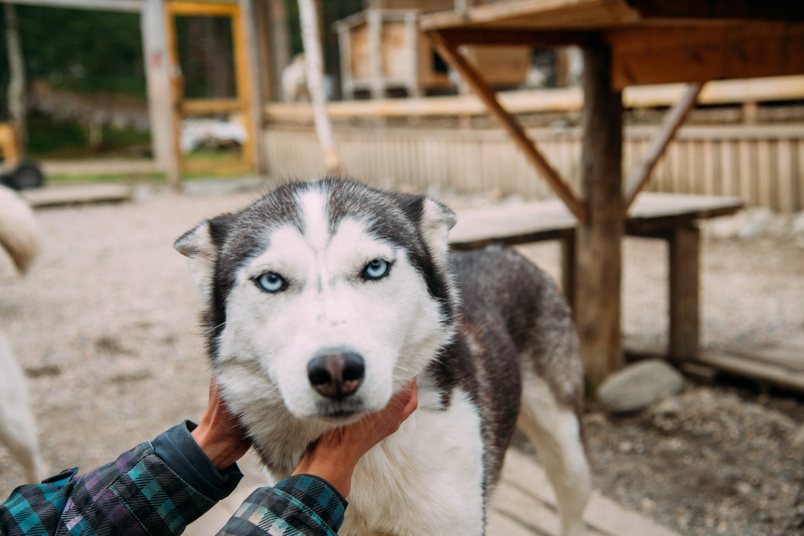 Кольский полуостров. Фотографирую для себя, своей семьи и друзей!